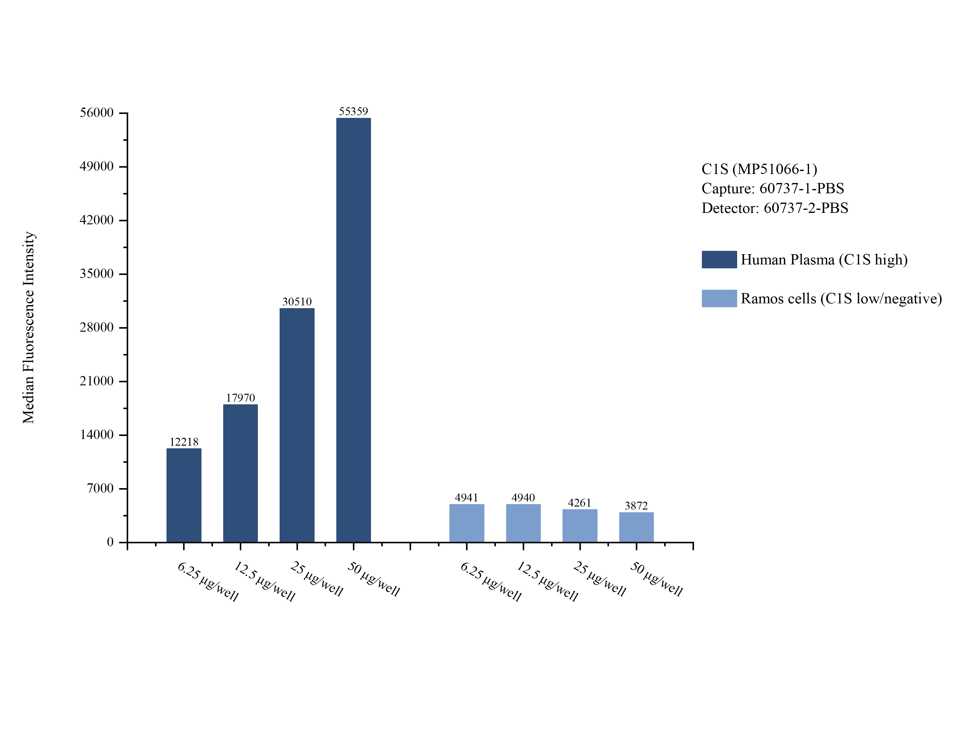 Cytometric bead array sample test of MP51066-1