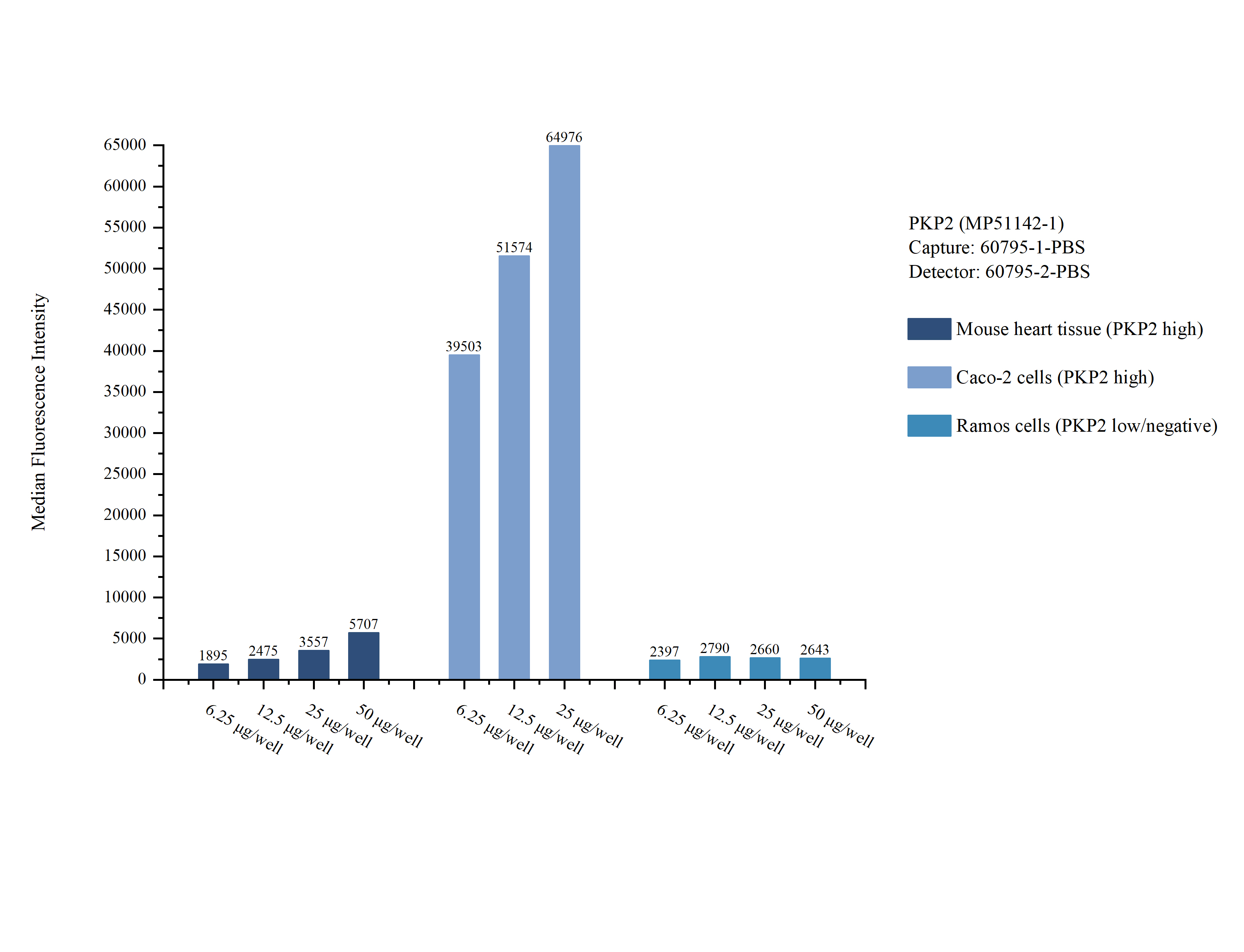 Cytometric bead array sample test of <a class='green' href='/productredirect?CatalogNo=MP51142-1' target='_blank'>MP51142-1</a>, PKP2 Monoclonal Matched Antibody Pair, PBS Only. Capture antibody: <a class='green' href='/productredirect?CatalogNo=60795-1-PBS' target='_blank'>60795-1-PBS</a>. Detection antibody: 60795-2-PBS. Cytometric bead array sample test of MP51142-1
