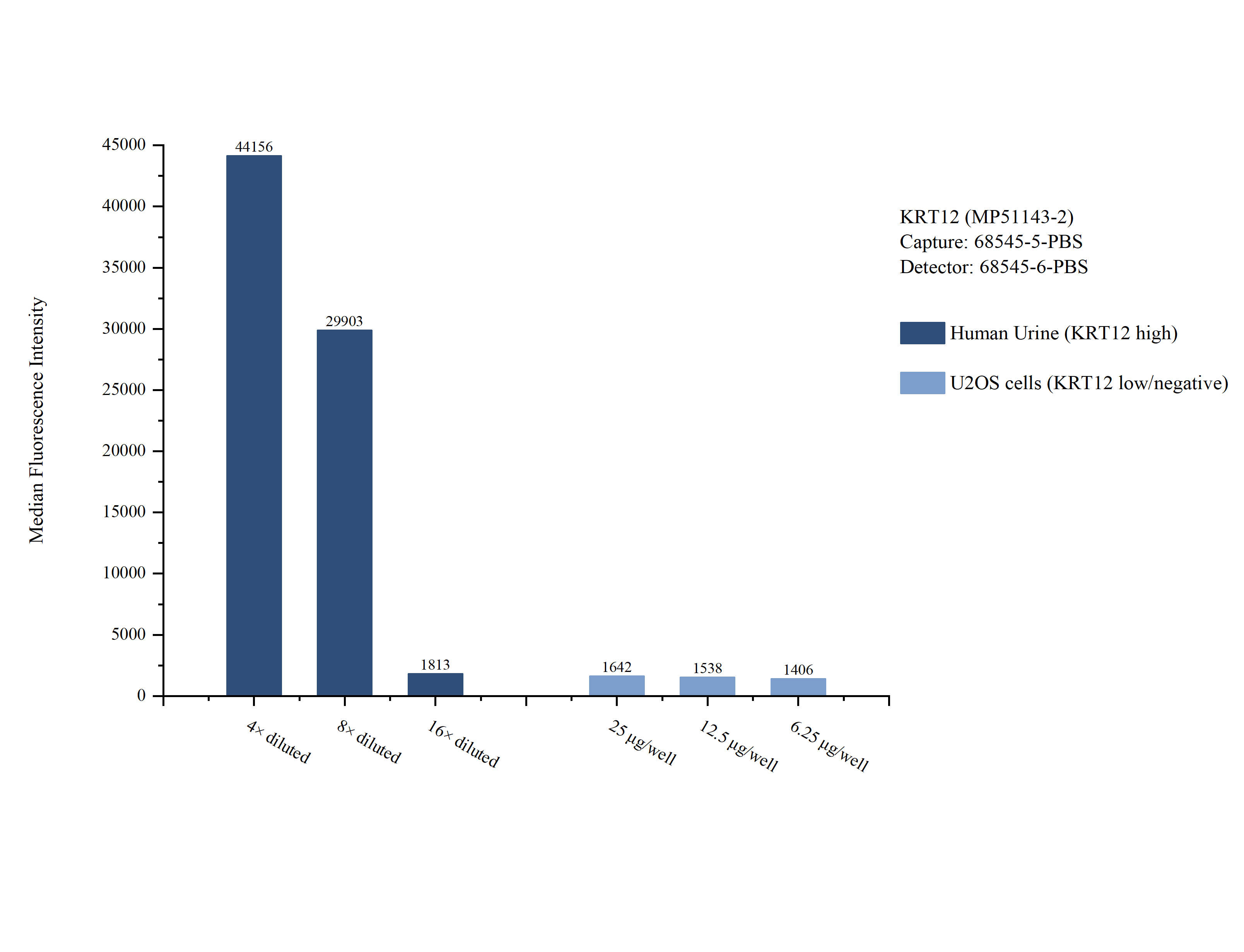 Cytometric bead array sample test of MP51143-2, KRT12 Monoclonal Matched Antibody Pair, PBS Only. Capture antibody: 68545-5-PBS. Detection antibody: 68545-6-PBS. 