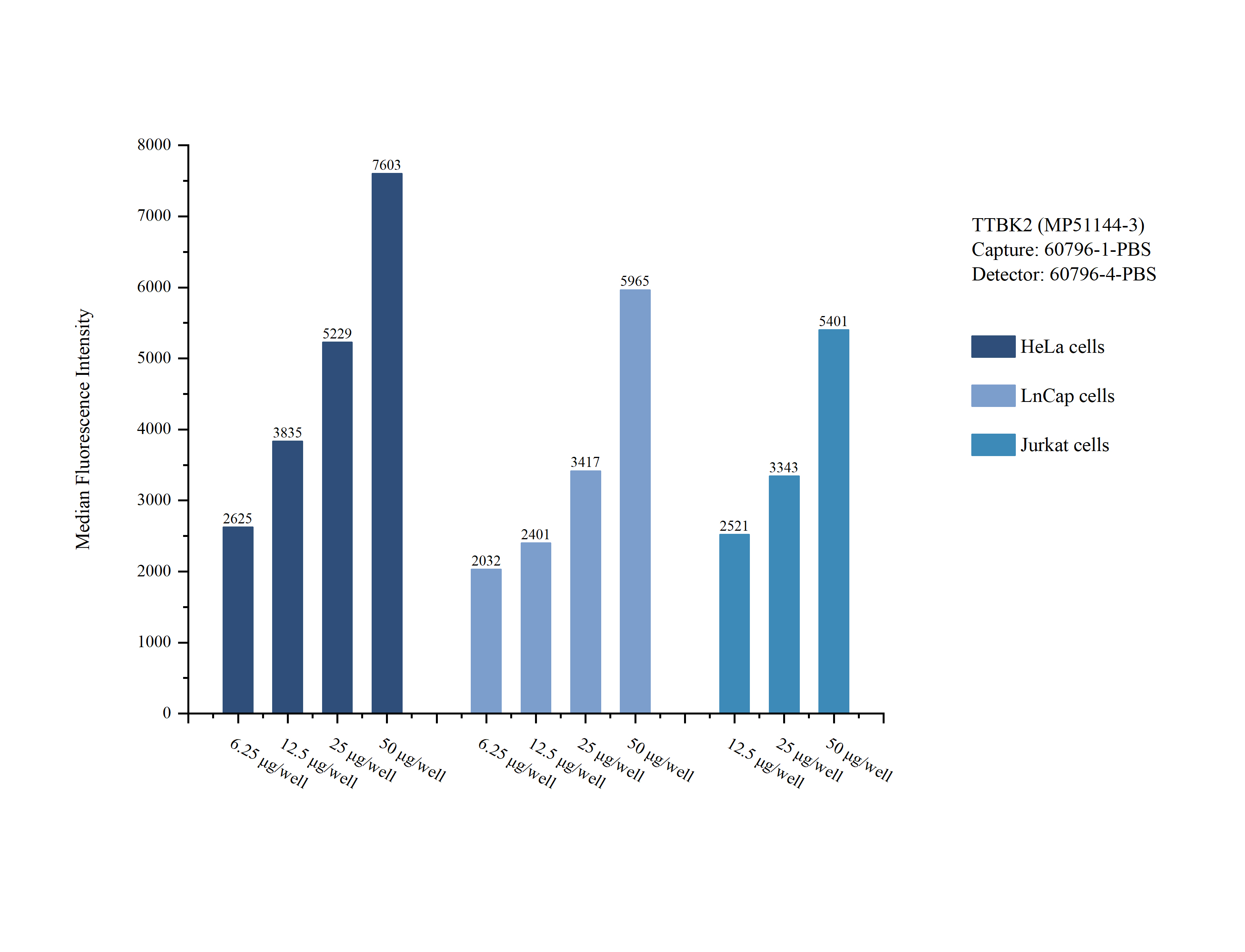 Cytometric bead array sample test of MP51144-3, TTBK2 Monoclonal Matched Antibody Pair, PBS Only. Capture antibody: 60796-1-PBS. Detection antibody: 60796-4-PBS. Cytometric bead array sample test of MP51144-3, TTBK2 Monoclonal Matched Antibody Pair, PBS Only. Capture antibody: 60796-1-PBS. Detection antibody: 60796-4-PBS.