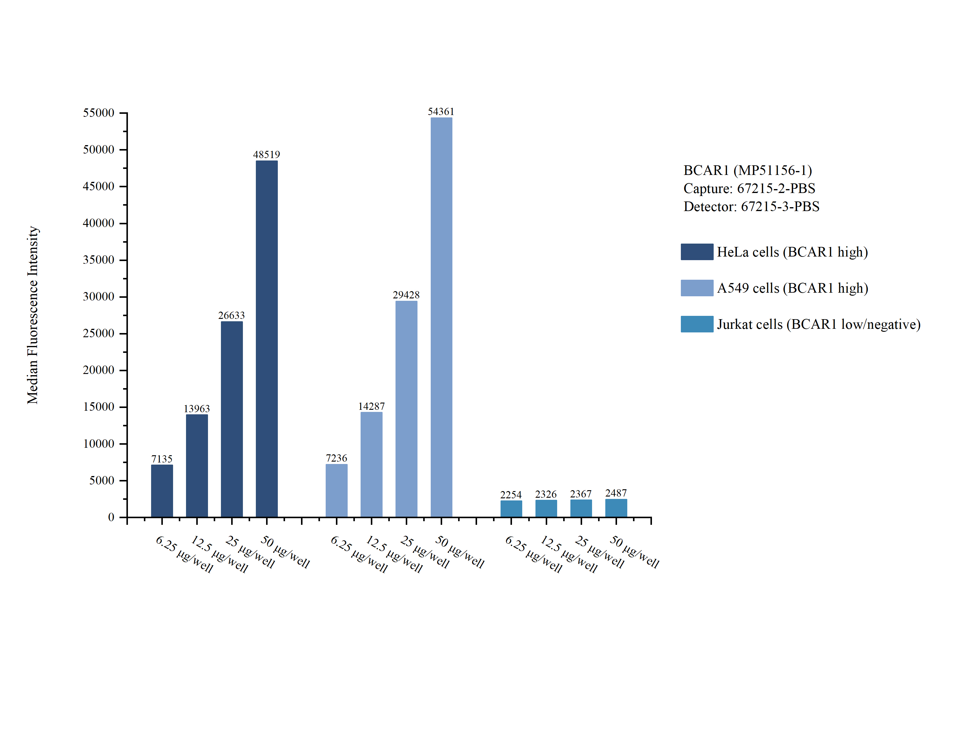 Cytometric bead array sample test of MP51156-1