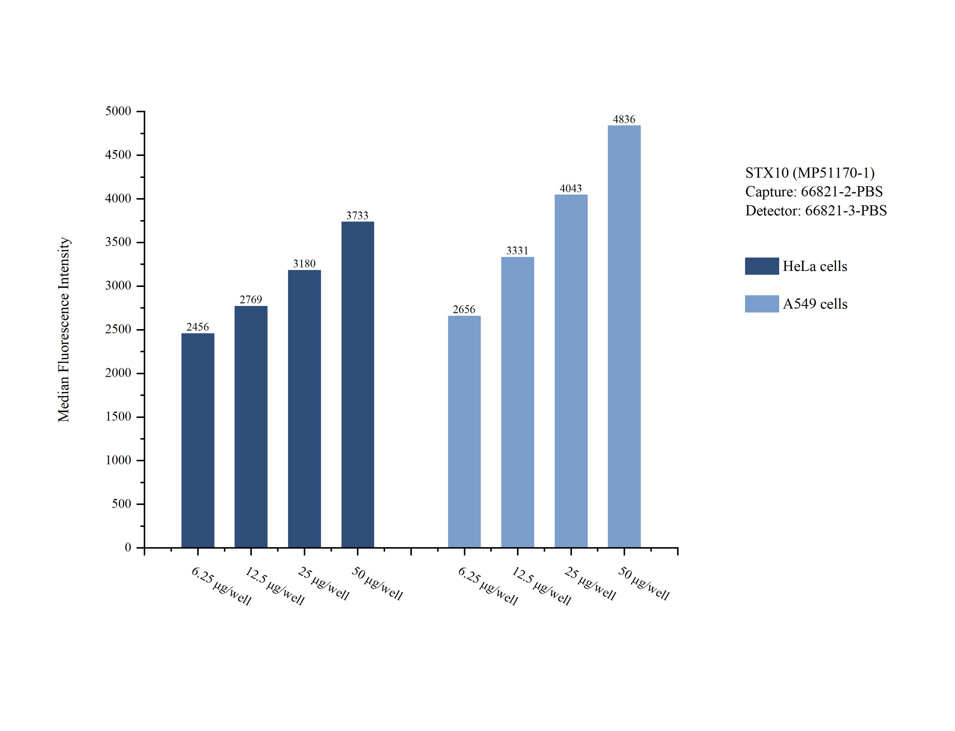 Cytometric bead array sample test of MP51170-1