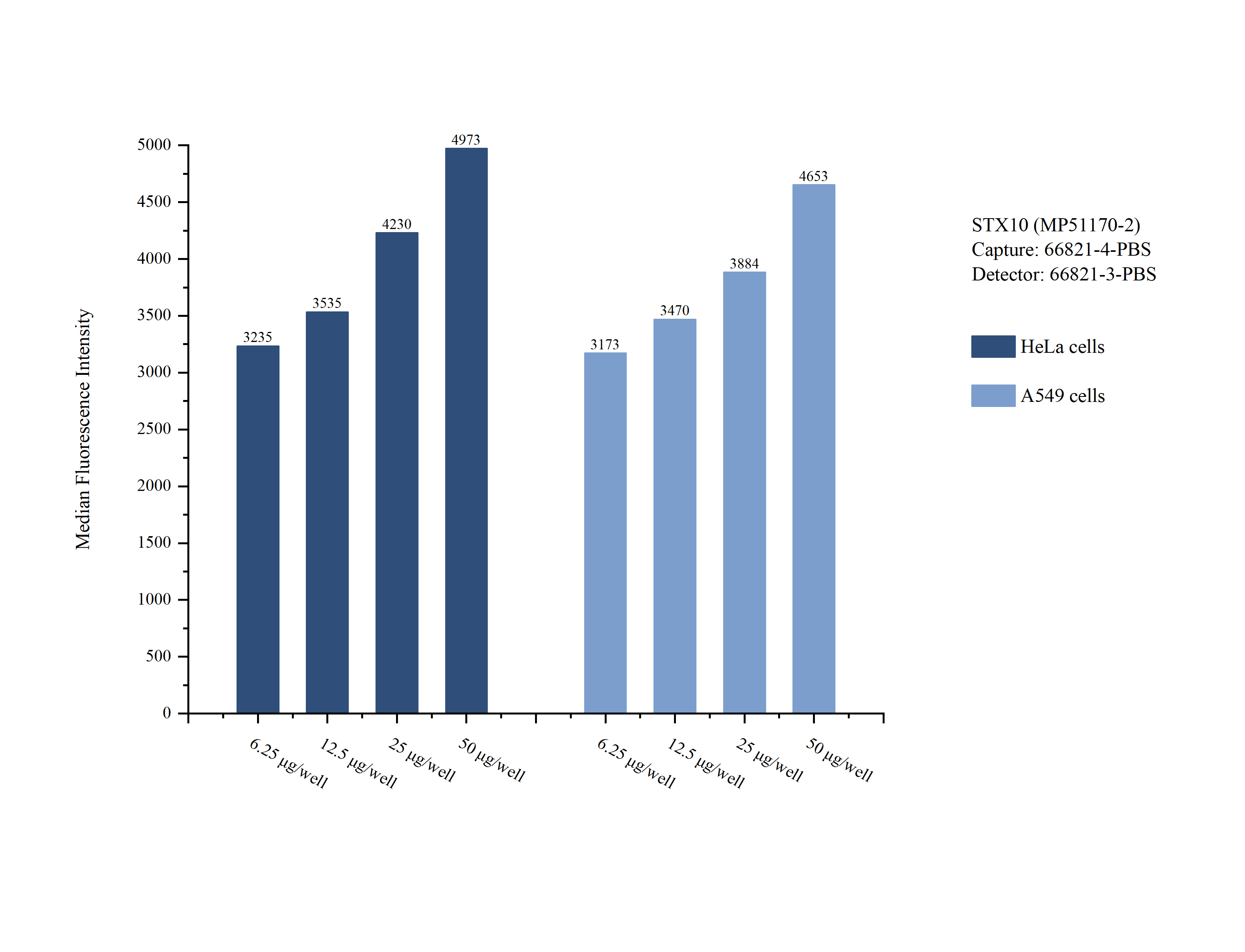 Cytometric bead array sample test of MP51170-2