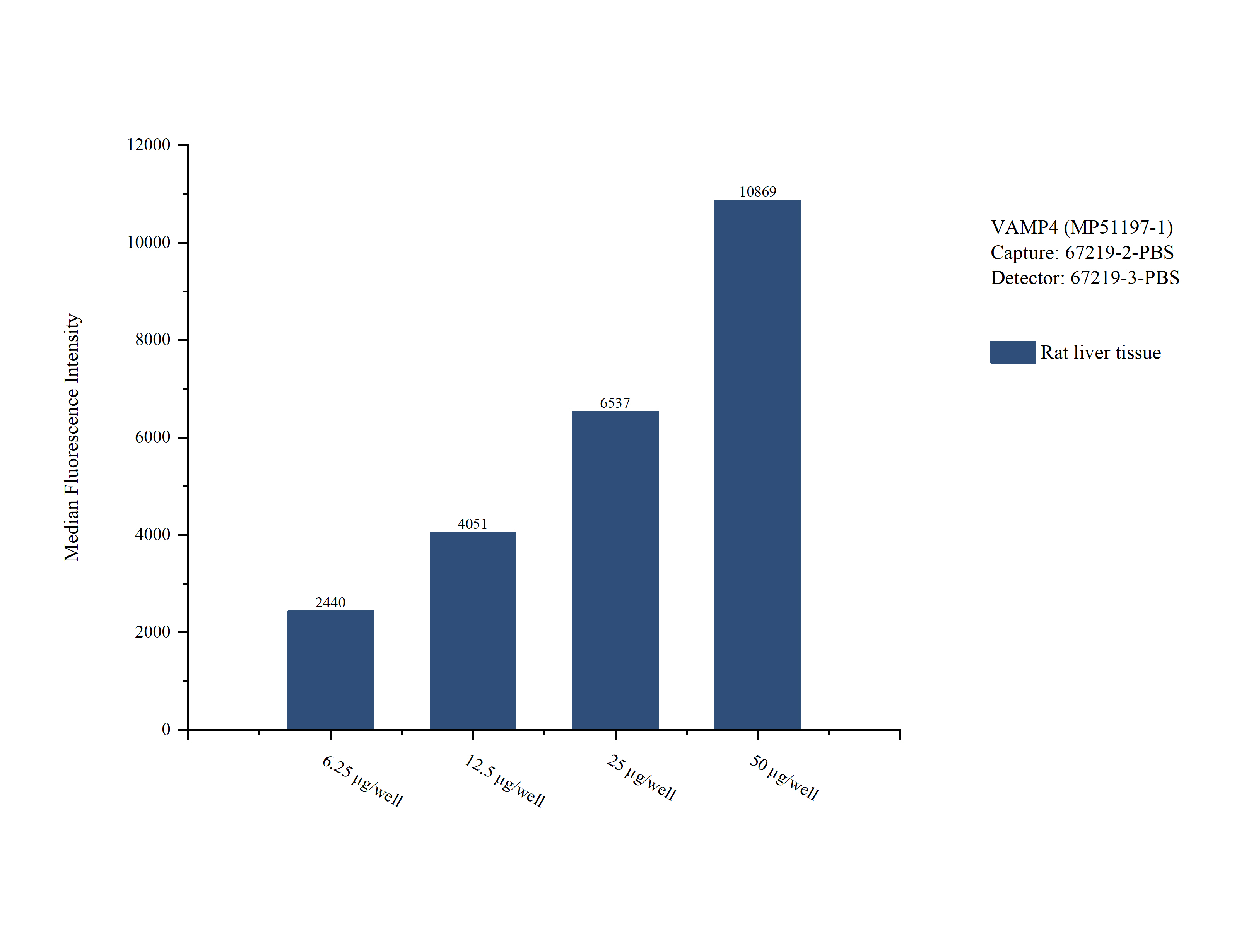 Cytometric bead array sample test of <a class='green' href='/productredirect?CatalogNo=MP51197-1' target='_blank'>MP51197-1</a>, VAMP4 Monoclonal Matched Antibody Pair, PBS Only. Capture antibody: <a class='green' href='/productredirect?CatalogNo=67219-2-PBS' target='_blank'>67219-2-PBS</a>. Detection antibody: 67219-3-PBS. Cytometric bead array sample test of MP51197-1