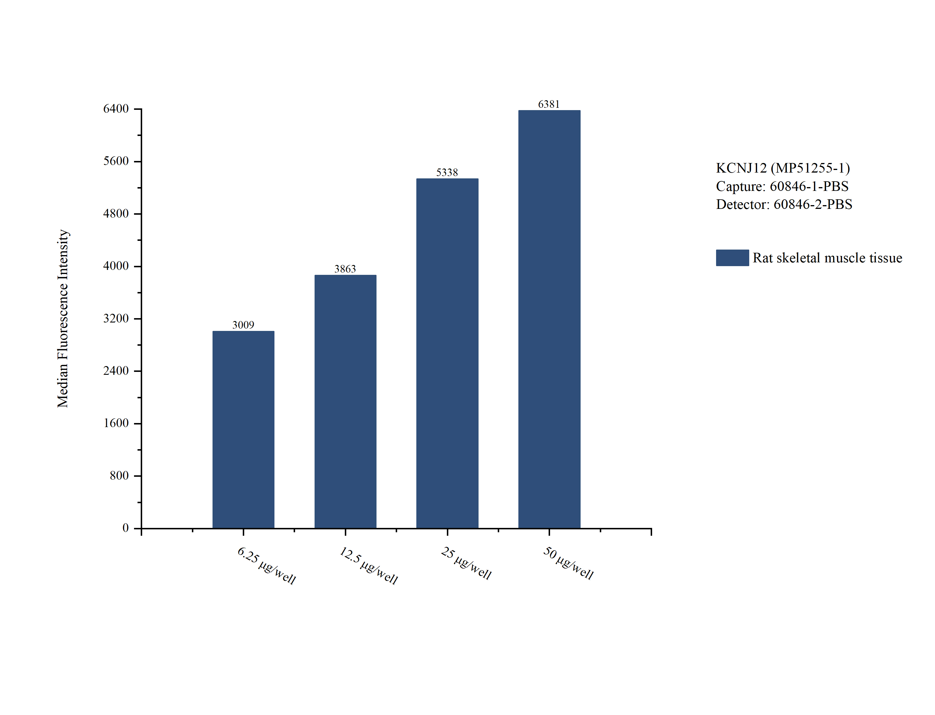 Cytometric bead array sample test of MP51255-1, KCNJ12 Monoclonal Matched Antibody Pair, PBS Only. Capture antibody: 60846-1-PBS. Detection antibody: 60846-2-PBS. 