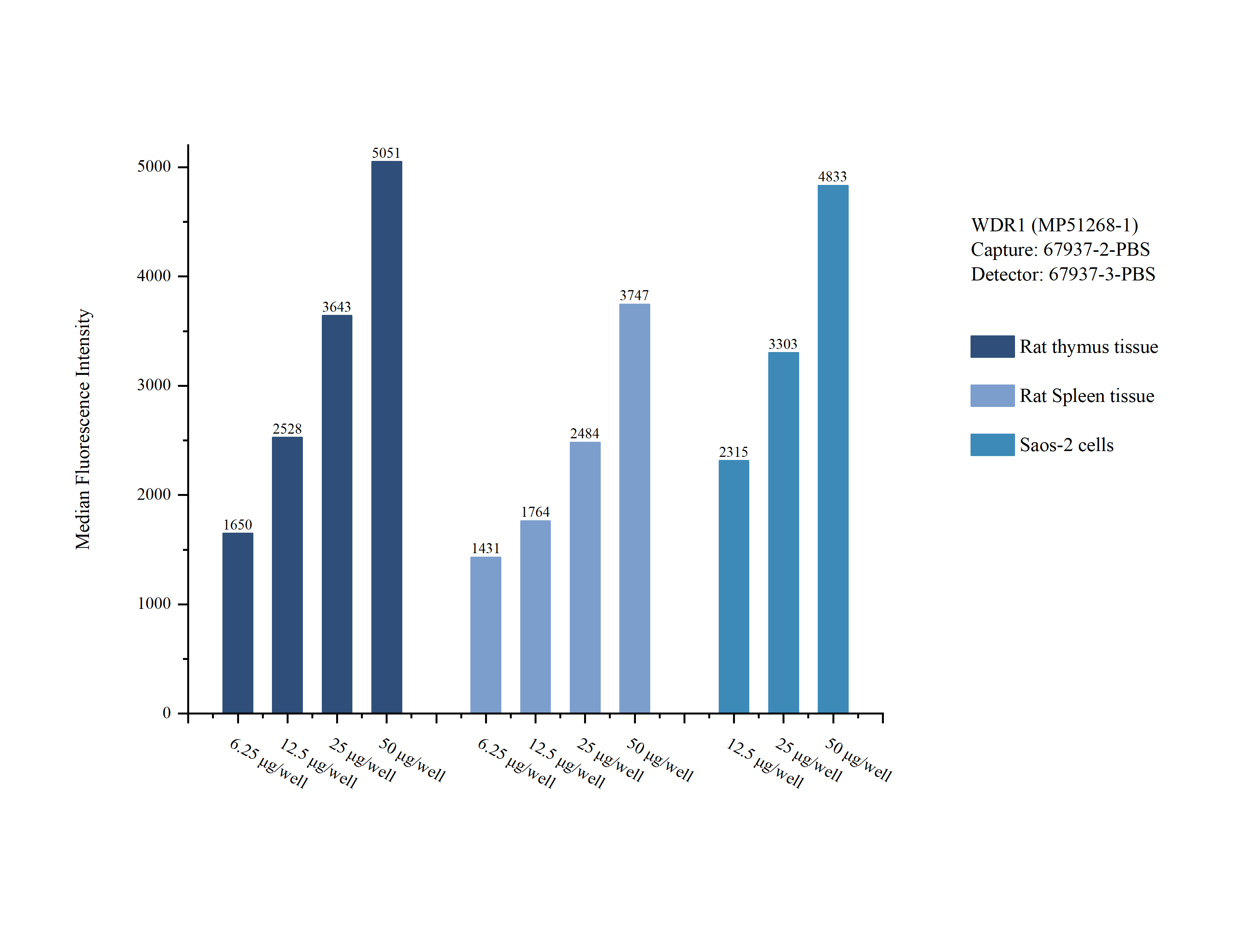 Cytometric bead array sample test of MP51268-1