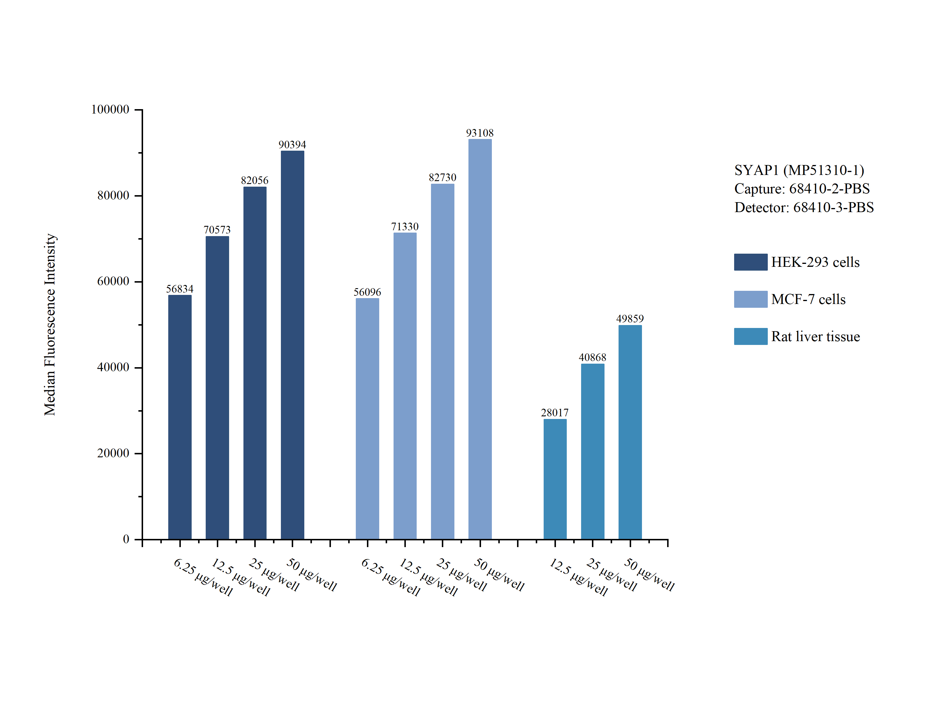 Cytometric bead array sample test of MP51310-1