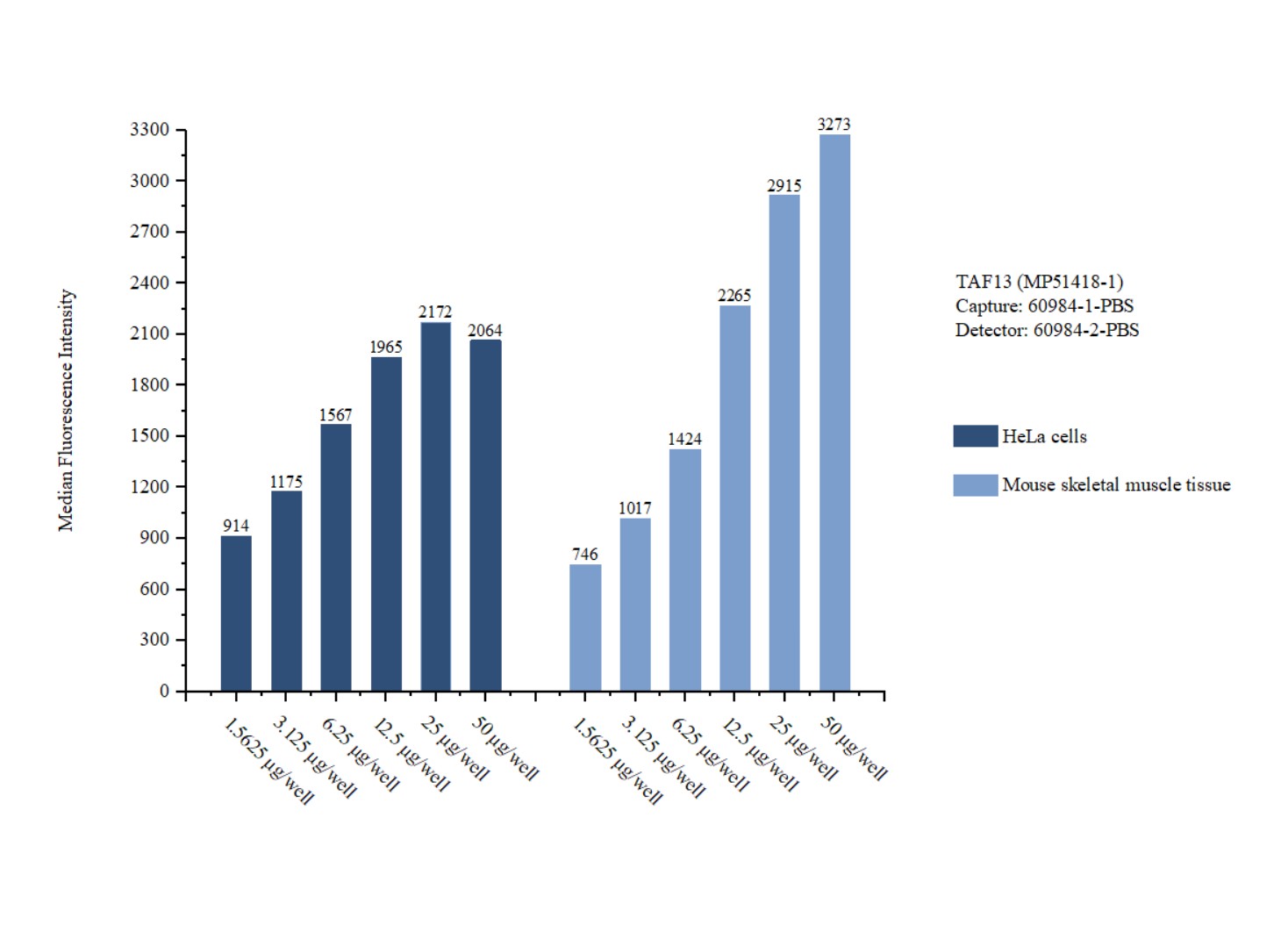 Cytometric bead array sample test of MP51418-1, TAF13 Monoclonal Matched Antibody Pair, PBS Only. Capture antibody: 60984-1-PBS. Detection antibody: 60984-2-PBS. Cytometric bead array sample test of MP51418-1, TAF13 Monoclonal Matched Antibody Pair, PBS Only. Capture antibody: 60984-1-PBS. Detection antibody: 60984-2-PBS.