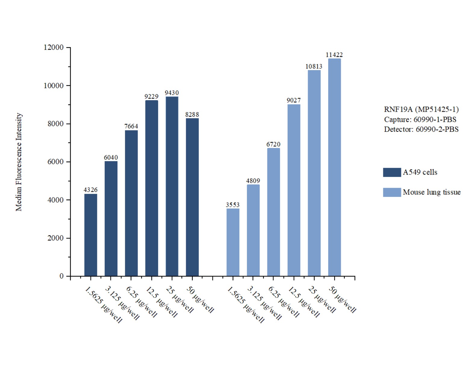 Cytometric bead array sample test of MP51425-1