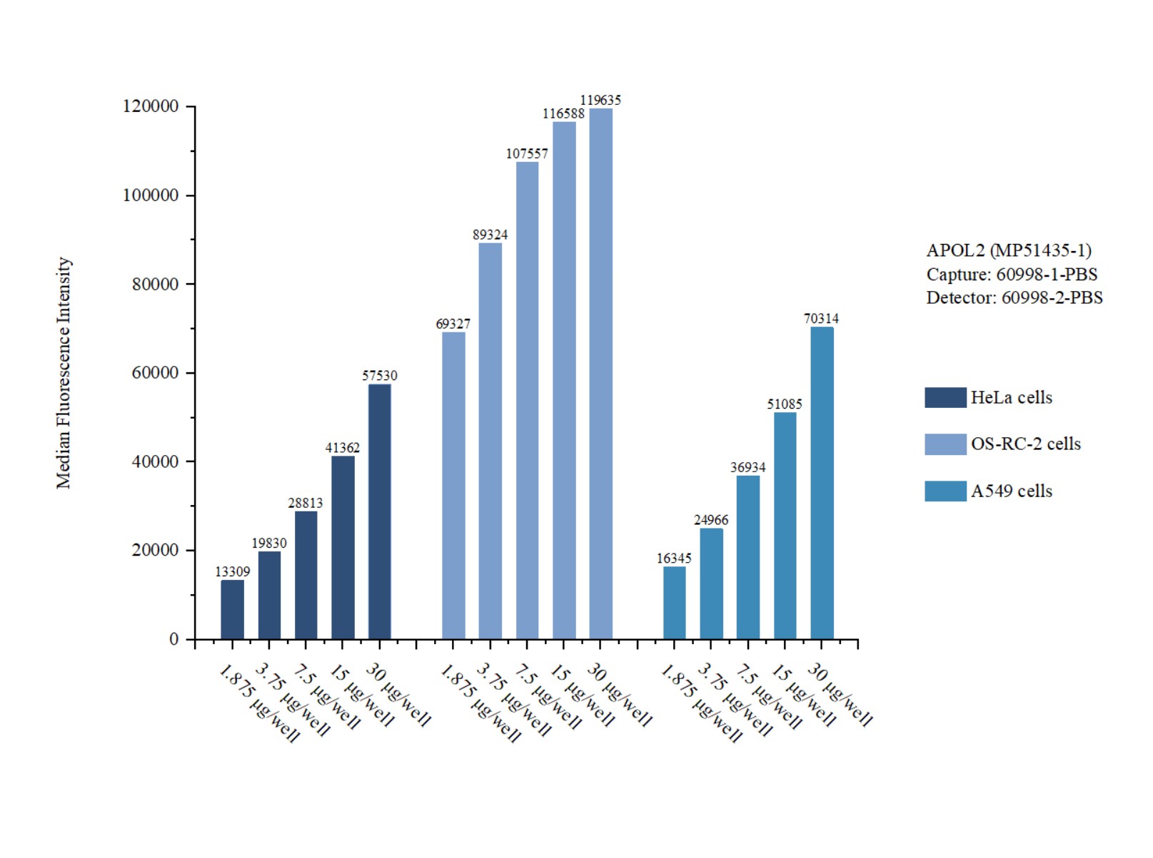 Cytometric bead array sample test of <a class='green' href='/productredirect?CatalogNo=MP51435-1' target='_blank'>MP51435-1</a>, APOL2 Monoclonal Matched Antibody Pair, PBS Only. Capture antibody: <a class='green' href='/productredirect?CatalogNo=60998-1-PBS' target='_blank'>60998-1-PBS</a>. Detection antibody: 60998-2-PBS. Cytometric bead array sample test of MP51435-1