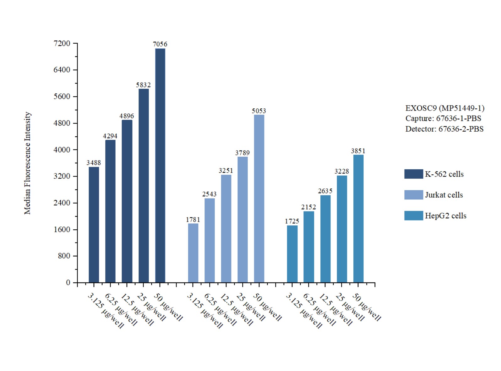 Cytometric bead array sample test of <a class='green' href='/productredirect?CatalogNo=MP51449-1' target='_blank'>MP51449-1</a>, EXOSC9 Monoclonal Matched Antibody Pair, PBS Only. Capture antibody: 67636-1-PBS. Detection antibody: <a class='green' href='/productredirect?CatalogNo=67636-2-PBS' target='_blank'>67636-2-PBS</a>. Cytometric bead array sample test of MP51449-1