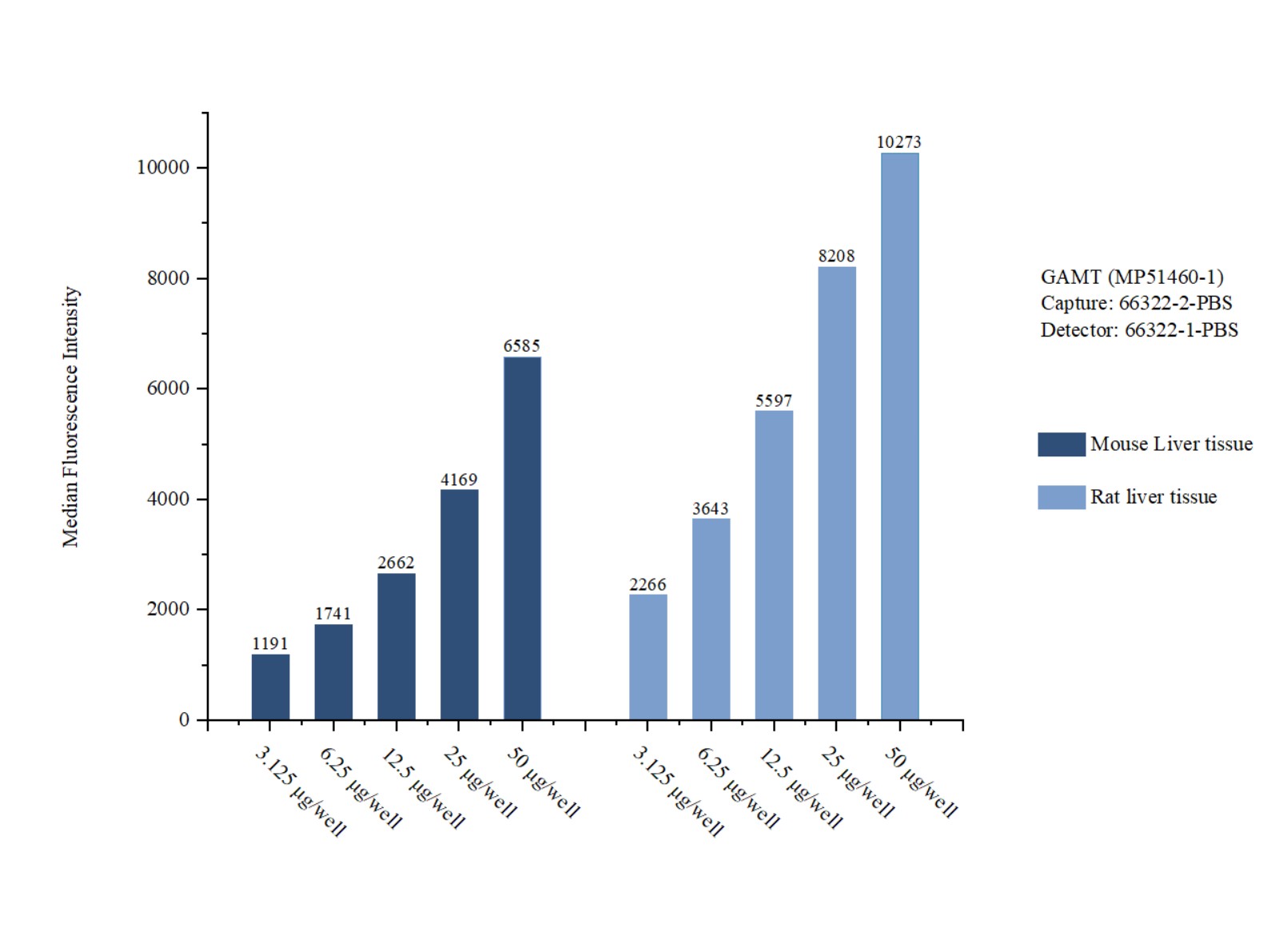 Cytometric bead array sample test of <a class='green' href='/productredirect?CatalogNo=MP51460-1' target='_blank'>MP51460-1</a>, GAMT Monoclonal Matched Antibody Pair, PBS Only. Capture antibody: <a class='green' href='/productredirect?CatalogNo=66322-2-PBS' target='_blank'>66322-2-PBS</a>. Detection antibody: 66322-1-PBS. Cytometric bead array sample test of MP51460-1