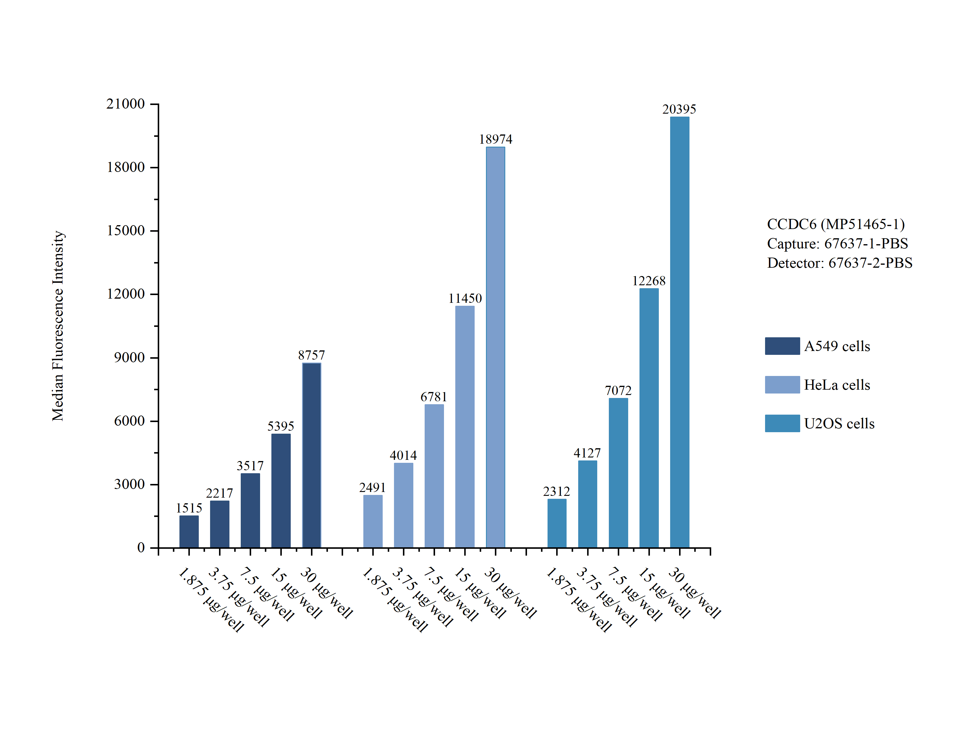 Cytometric bead array sample test of MP51465-1