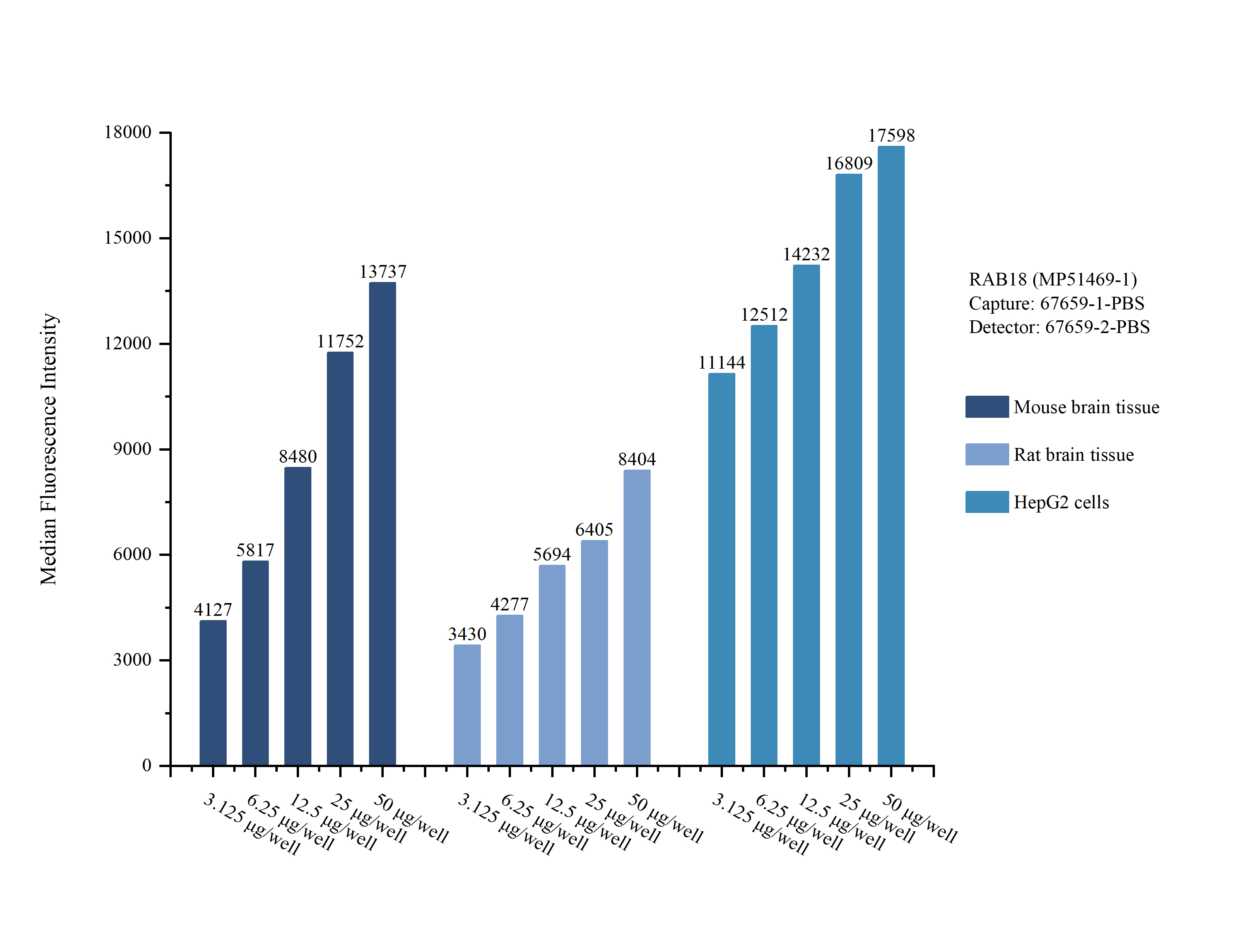 Cytometric bead array sample test of <a class='green' href='/productredirect?CatalogNo=MP51469-1' target='_blank'>MP51469-1</a>, RAB18 Monoclonal Matched Antibody Pair, PBS Only. Capture antibody: 67659-1-PBS. Detection antibody: <a class='green' href='/productredirect?CatalogNo=67659-2-PBS' target='_blank'>67659-2-PBS</a>. Cytometric bead array sample test of MP51469-1