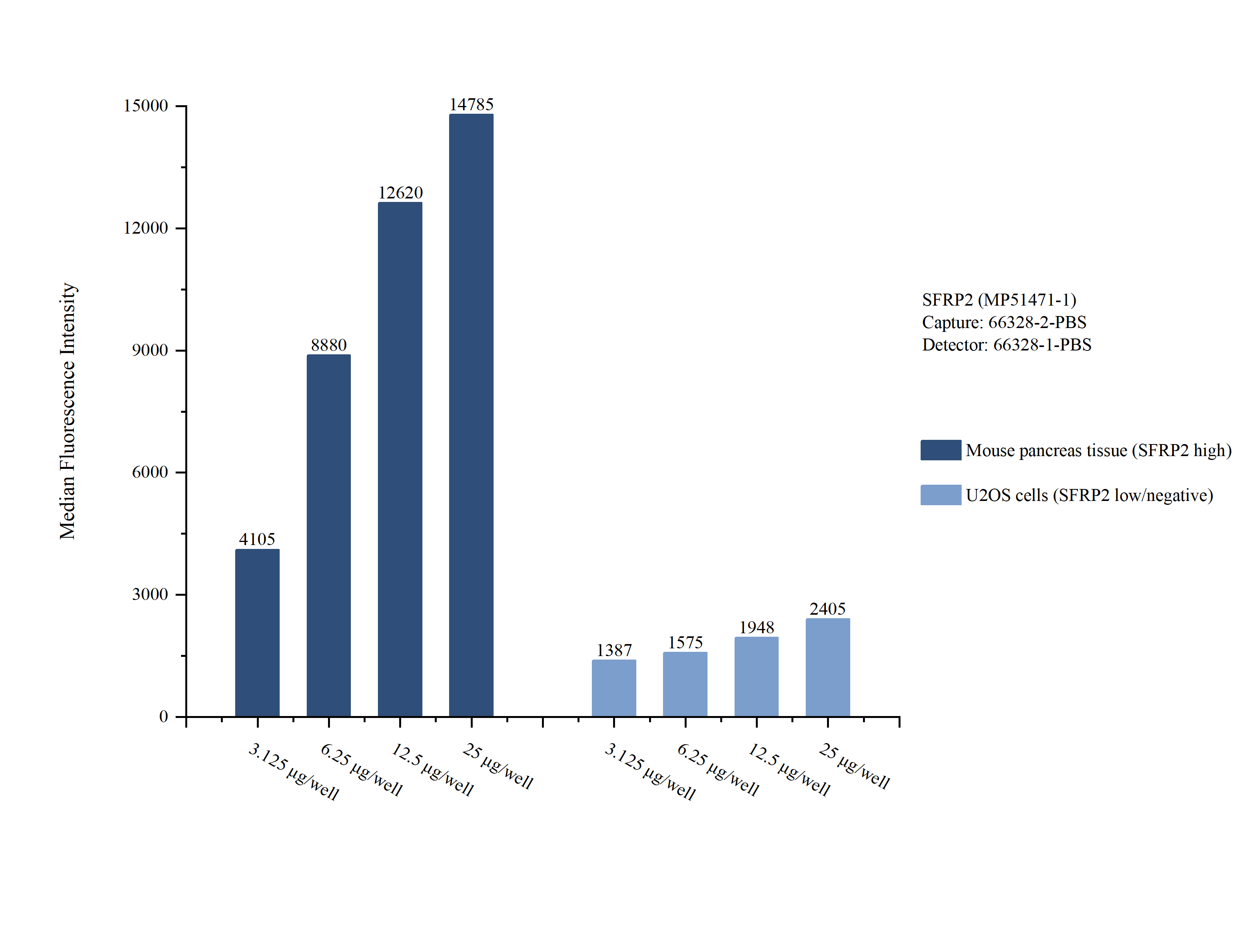 Cytometric bead array sample test of <a class='green' href='/productredirect?CatalogNo=MP51471-1' target='_blank'>MP51471-1</a>, SFRP2 Monoclonal Matched Antibody Pair, PBS Only. Capture antibody: <a class='green' href='/productredirect?CatalogNo=66328-2-PBS' target='_blank'>66328-2-PBS</a>. Detection antibody: 66328-1-PBS.  Cytometric bead array sample test of MP51471-1