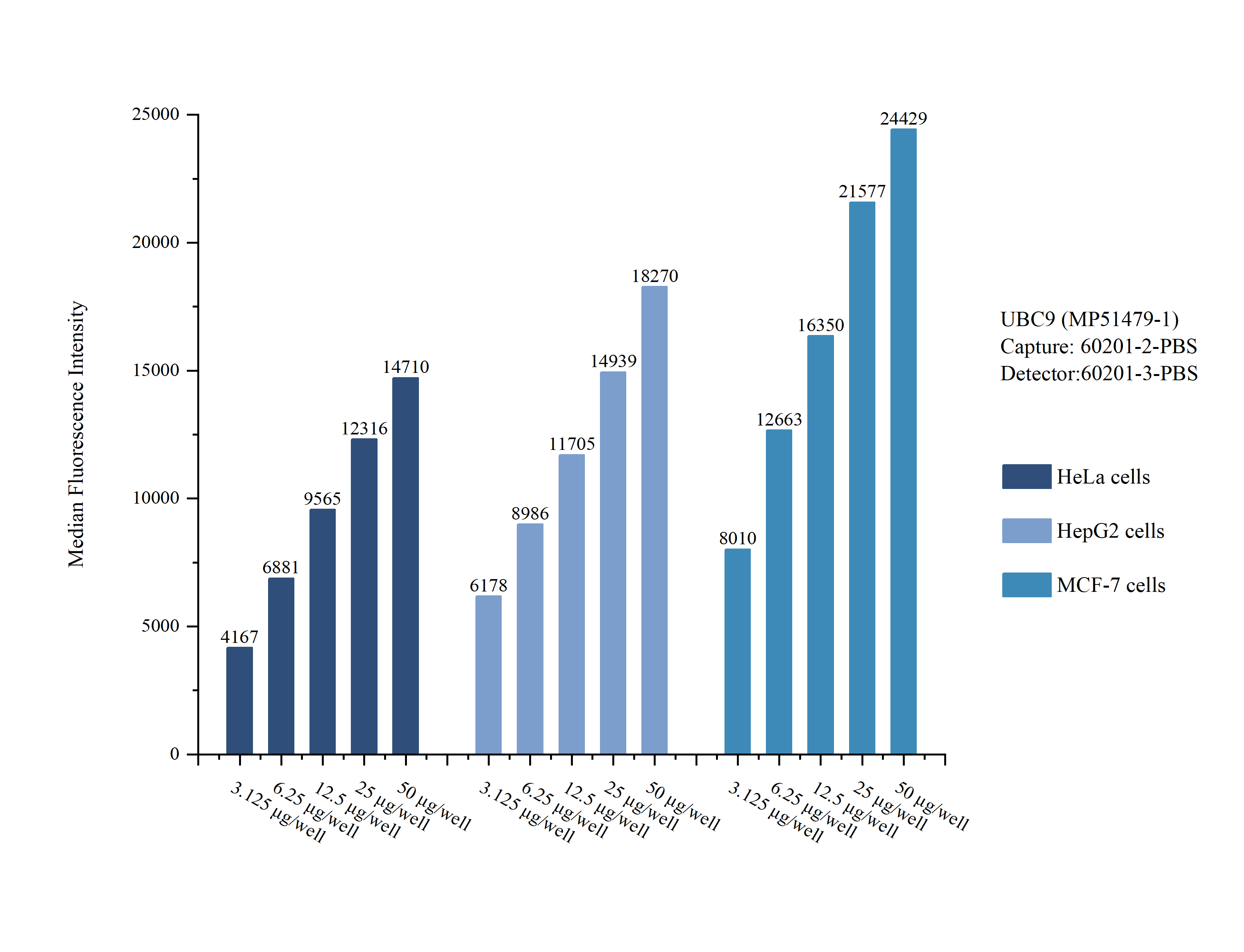 Cytometric bead array sample test of MP51479-1, UBC9 Monoclonal Matched Antibody Pair, PBS Only. Capture antibody: 60201-2-PBS. Detection antibody: 60201-3-PBS. Cytometric bead array sample test of MP51479-1, UBC9 Monoclonal Matched Antibody Pair, PBS Only. Capture antibody: 60201-2-PBS. Detection antibody: 60201-3-PBS.