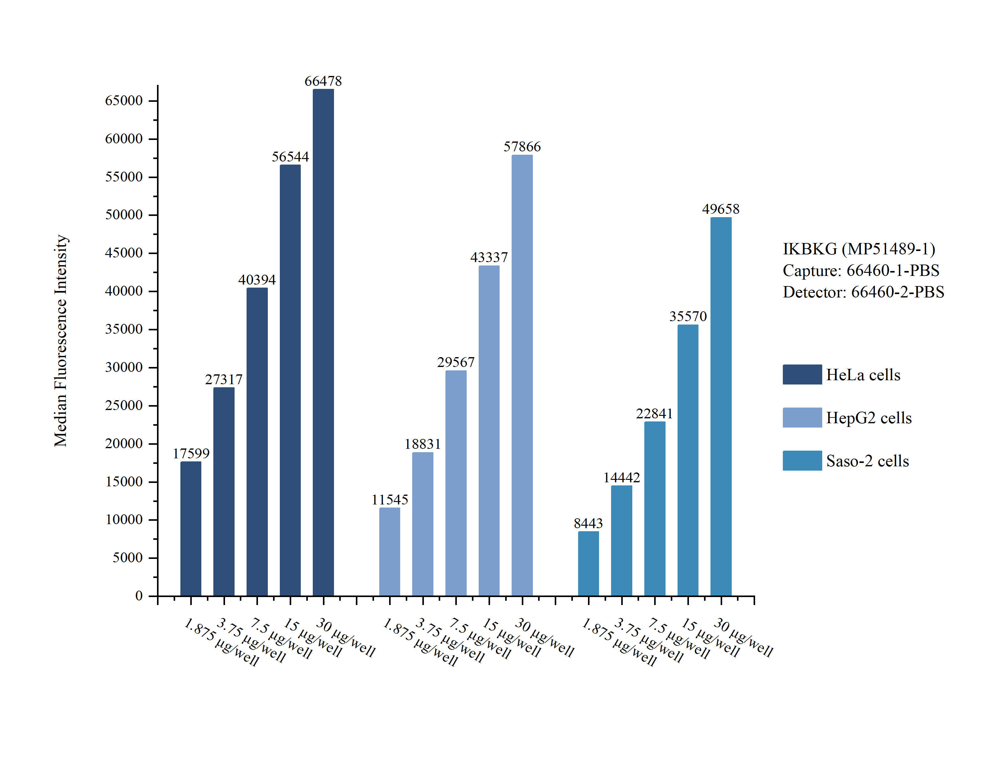 Cytometric bead array sample test of <a class='green' href='/productredirect?CatalogNo=MP51489-1' target='_blank'>MP51489-1</a>, IKBKG Monoclonal Matched Antibody Pair, PBS Only. Capture antibody: 66460-1-PBS. Detection antibody: <a class='green' href='/productredirect?CatalogNo=66460-2-PBS' target='_blank'>66460-2-PBS</a>.  Cytometric bead array sample test of MP51489-1