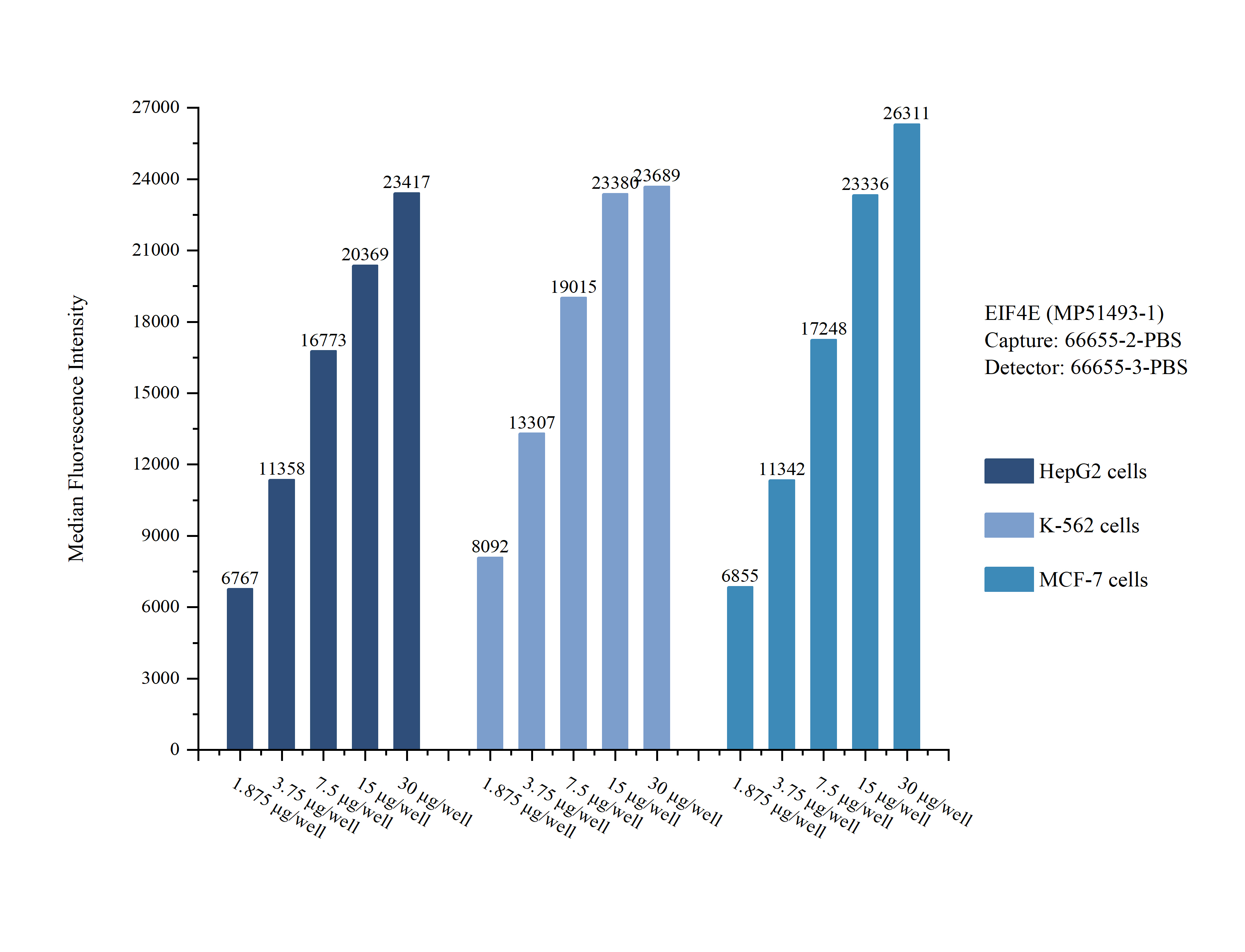 Cytometric bead array sample test of MP51493-1