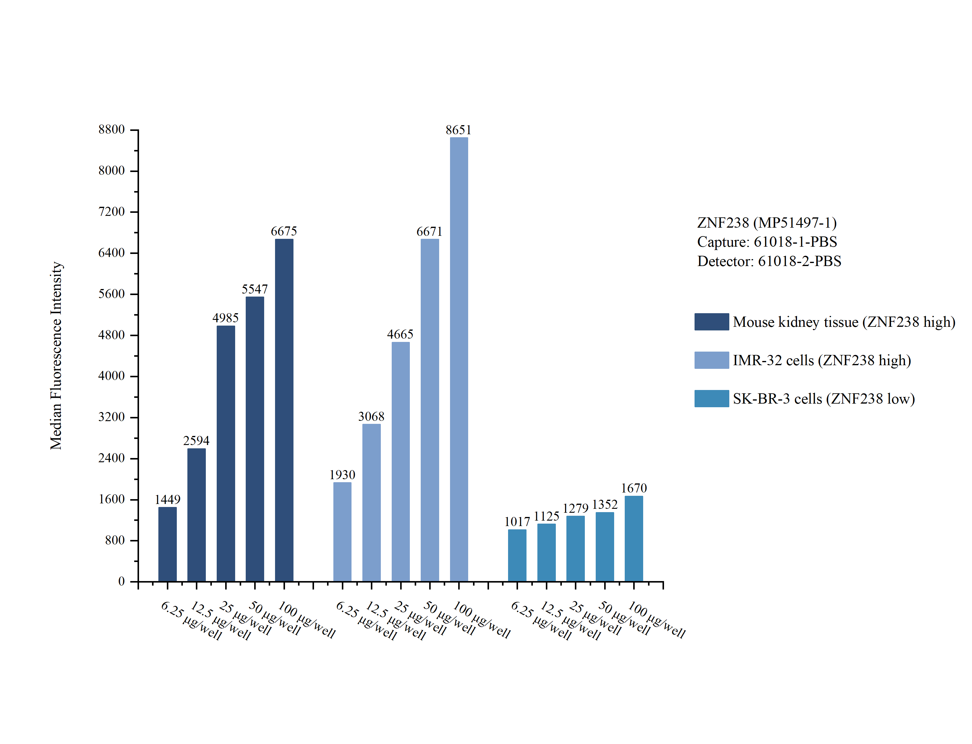 Cytometric bead array sample test of <a class='green' href='/productredirect?CatalogNo=MP51497-1' target='_blank'>MP51497-1</a>, ZNF238 Monoclonal Matched Antibody Pair, PBS Only. Capture antibody: <a class='green' href='/productredirect?CatalogNo=61018-1-PBS' target='_blank'>61018-1-PBS</a>. Detection antibody: 61018-2-PBS. Cytometric bead array sample test of MP51497-1