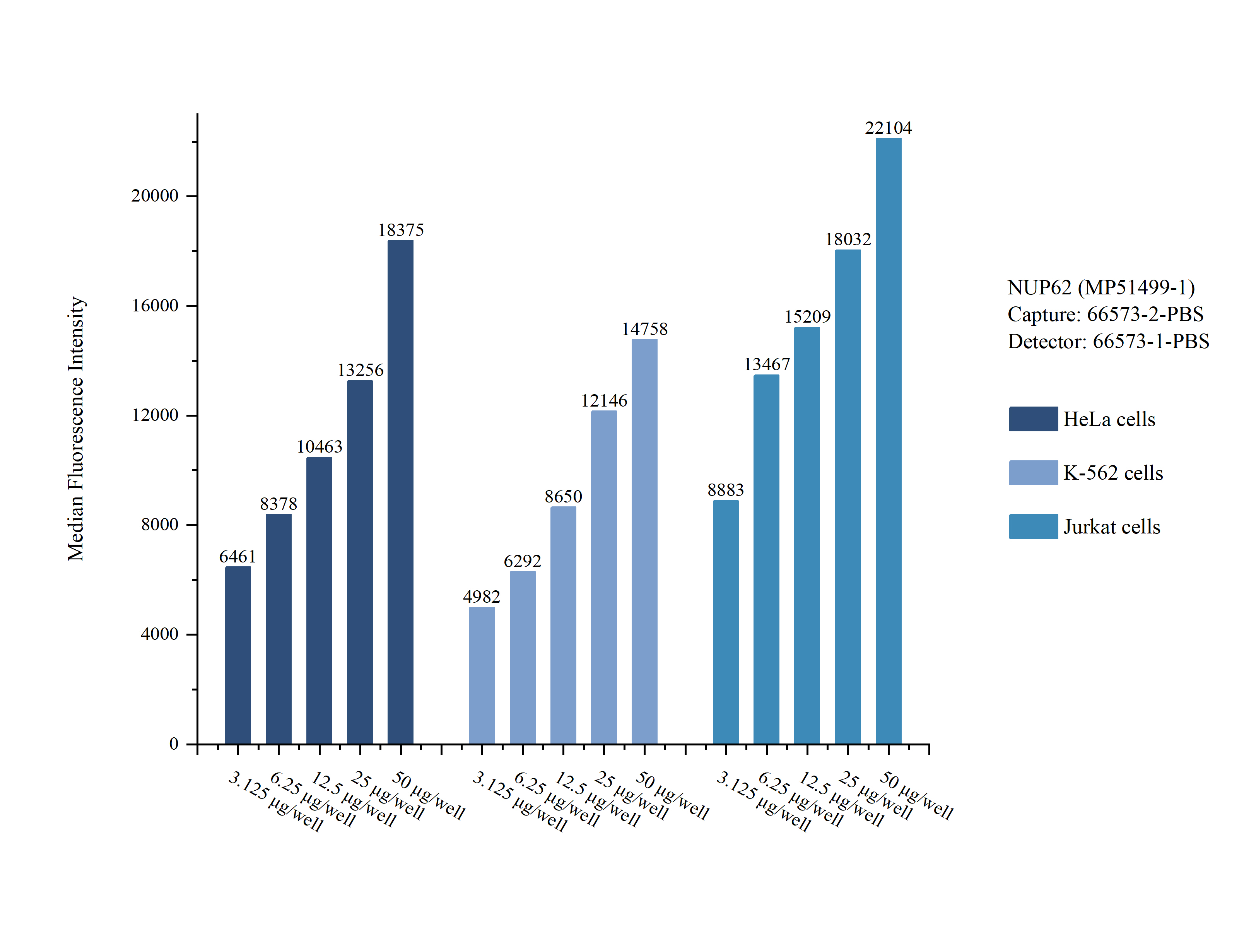 Cytometric bead array sample test of <a class='green' href='/productredirect?CatalogNo=MP51499-1' target='_blank'>MP51499-1</a>, NUP62 Monoclonal Matched Antibody Pair, PBS Only. Capture antibody: <a class='green' href='/productredirect?CatalogNo=66573-2-PBS' target='_blank'>66573-2-PBS</a>. Detection antibody: 66573-1-PBS. Cytometric bead array sample test of MP51499-1