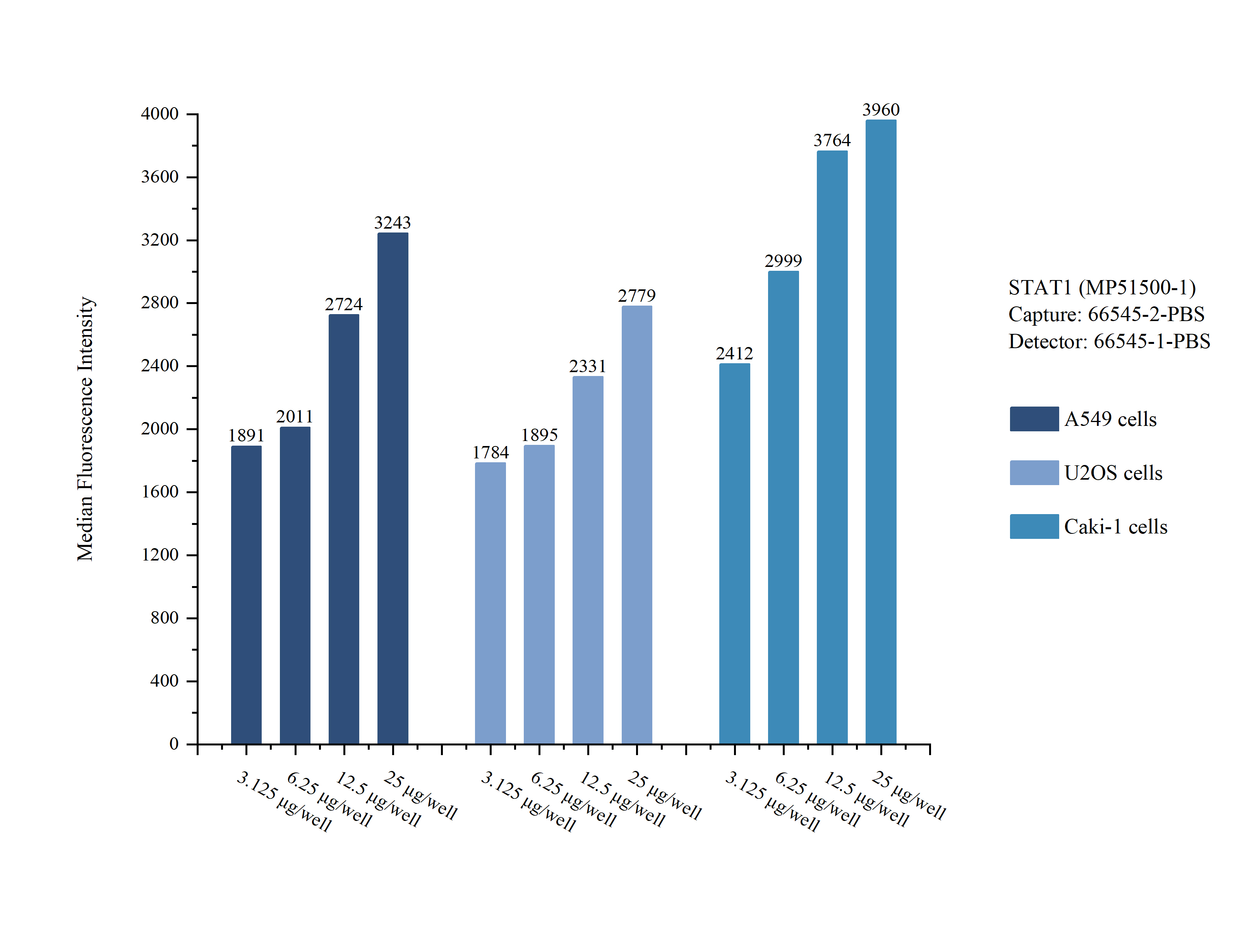 Cytometric bead array sample test of MP51500-1