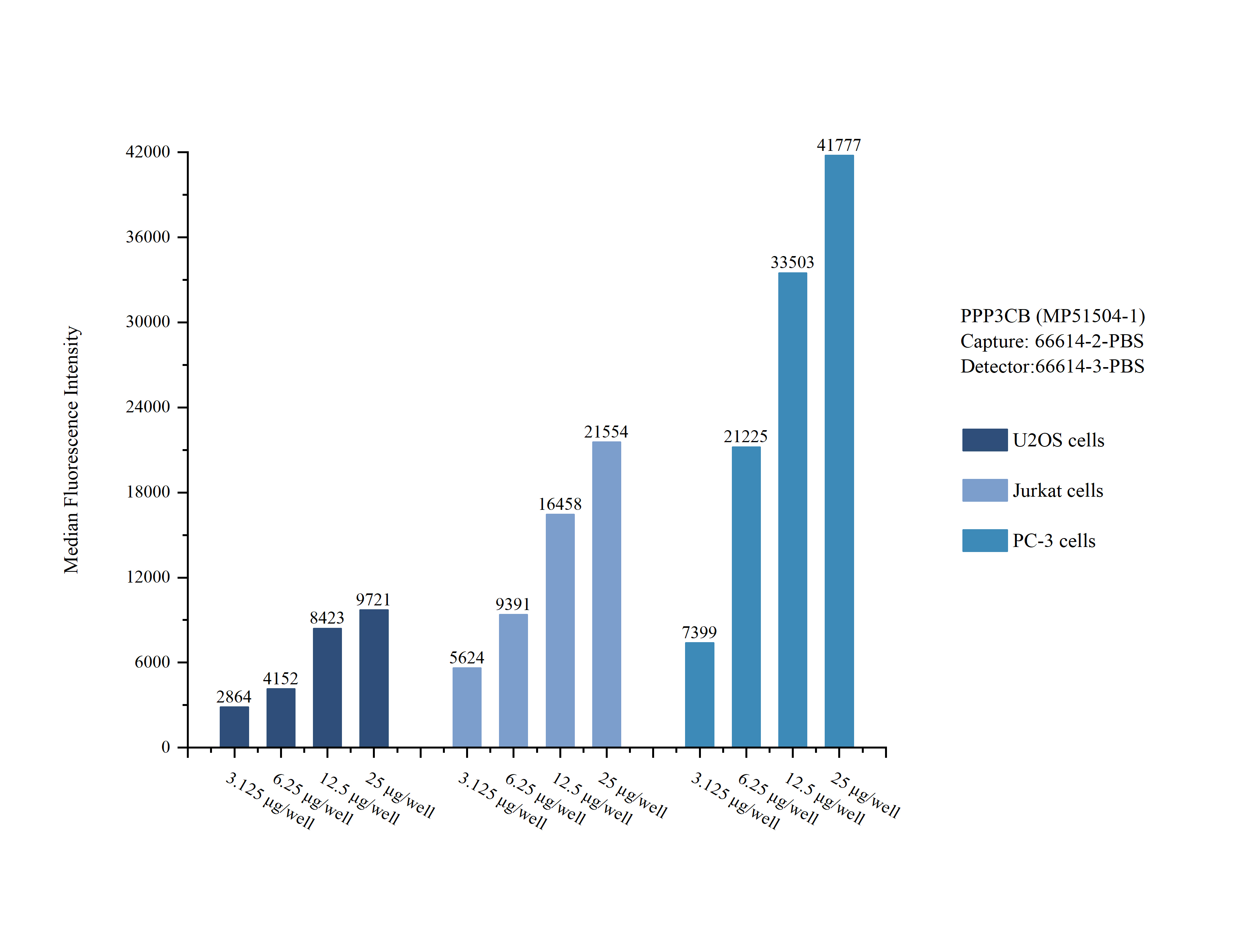 Cytometric bead array sample test of <a class='green' href='/productredirect?CatalogNo=MP51504-1' target='_blank'>MP51504-1</a>, PPP3CB Monoclonal Matched Antibody Pair, PBS Only. Capture antibody: <a class='green' href='/productredirect?CatalogNo=66614-2-PBS' target='_blank'>66614-2-PBS</a>. Detection antibody: 66614-3-PBS. Cytometric bead array sample test of MP51504-1