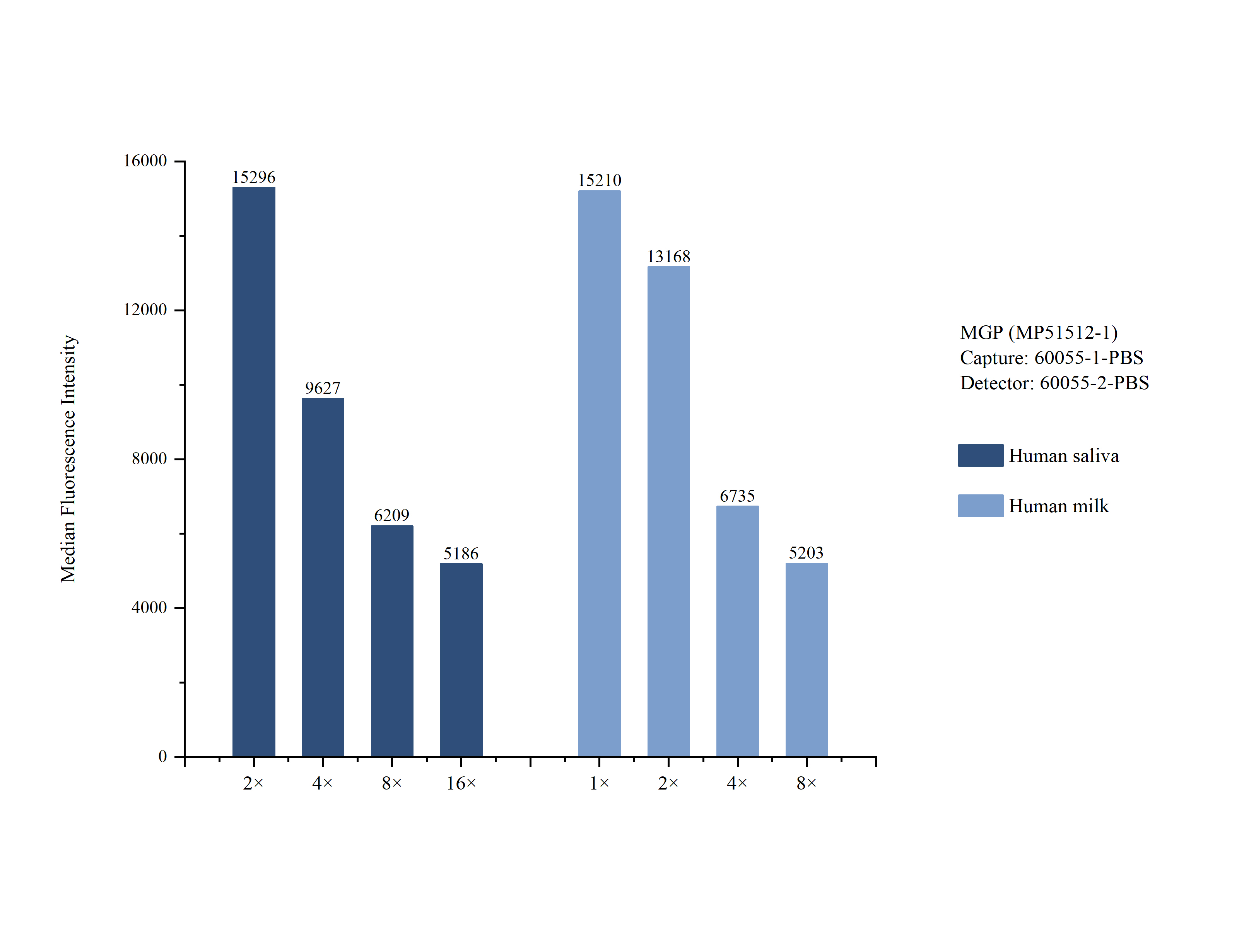 Cytometric bead array sample test of <a class='green' href='/productredirect?CatalogNo=MP51512-1' target='_blank'>MP51512-1</a>, MGP Monoclonal Matched Antibody Pair, PBS Only. Capture antibody: 60055-1-PBS. Detection antibody: <a class='green' href='/productredirect?CatalogNo=60055-2-PBS' target='_blank'>60055-2-PBS</a>. Cytometric bead array sample test of MP51512-1