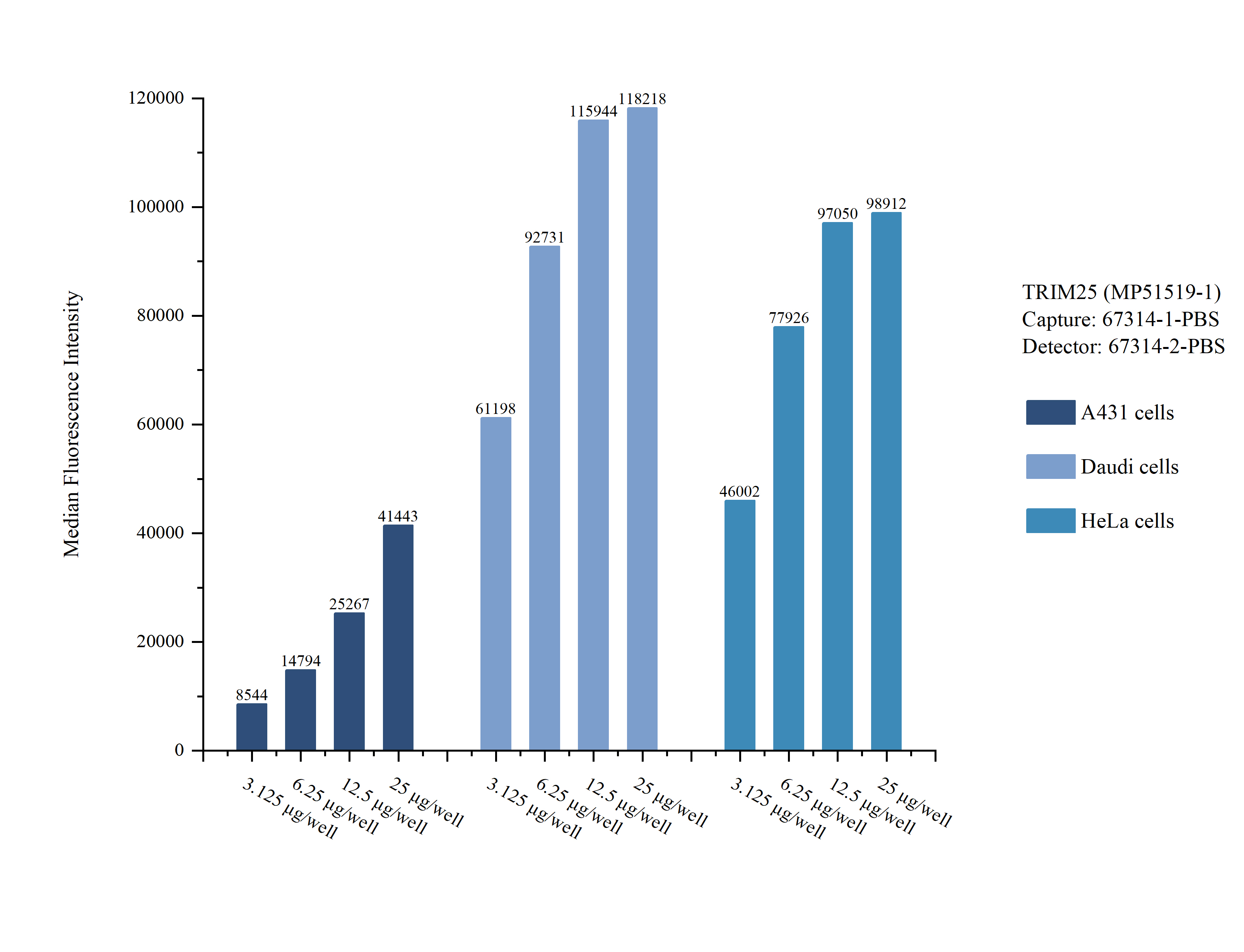 Cytometric bead array sample test of <a class='green' href='/productredirect?CatalogNo=MP51519-1' target='_blank'>MP51519-1</a>, TRIM25 Monoclonal Matched Antibody Pair, PBS Only. Capture antibody: 67314-1-PBS. Detection antibody: <a class='green' href='/productredirect?CatalogNo=67314-2-PBS' target='_blank'>67314-2-PBS</a>. Cytometric bead array sample test of MP51519-1