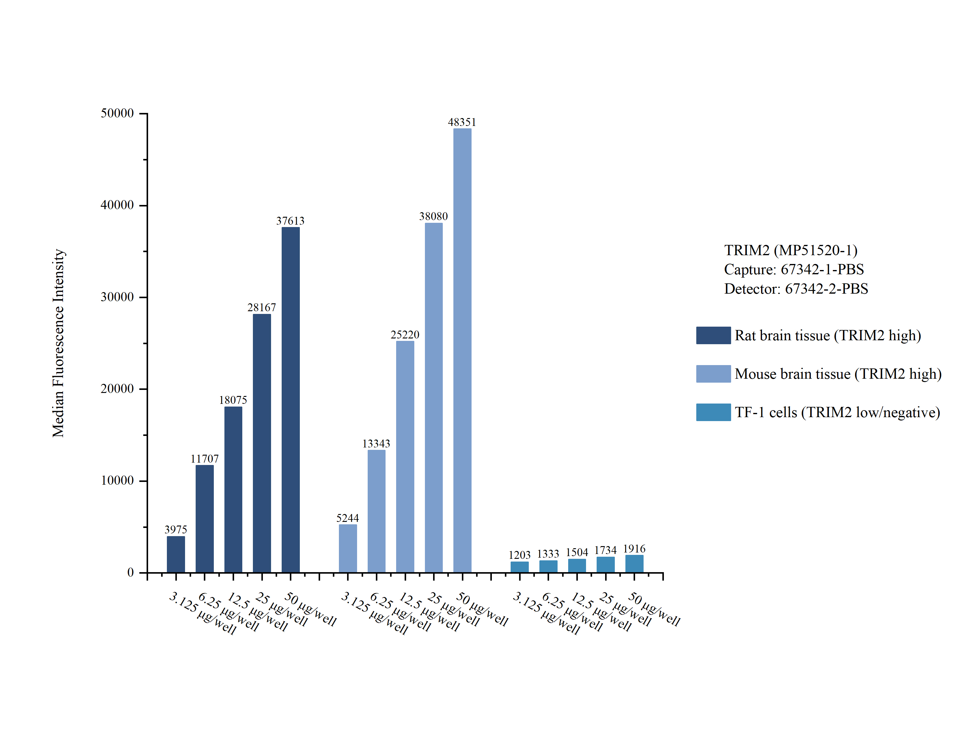 Cytometric bead array sample test of <a class='green' href='/productredirect?CatalogNo=MP51520-1' target='_blank'>MP51520-1</a>, TRIM2 Monoclonal Matched Antibody Pair, PBS Only. Capture antibody: 67342-1-PBS. Detection antibody: <a class='green' href='/productredirect?CatalogNo=67342-2-PBS' target='_blank'>67342-2-PBS</a>. Cytometric bead array sample test of MP51520-1