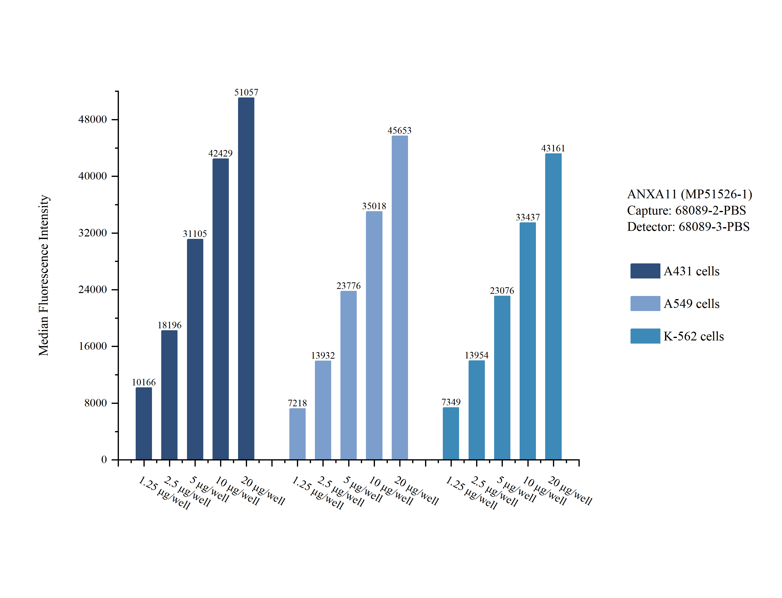 Cytometric bead array sample test of MP51526-1, ANXA11 Monoclonal Matched Antibody Pair, PBS Only. Capture antibody: 68089-2-PBS. Detection antibody: 68089-3-PBS.