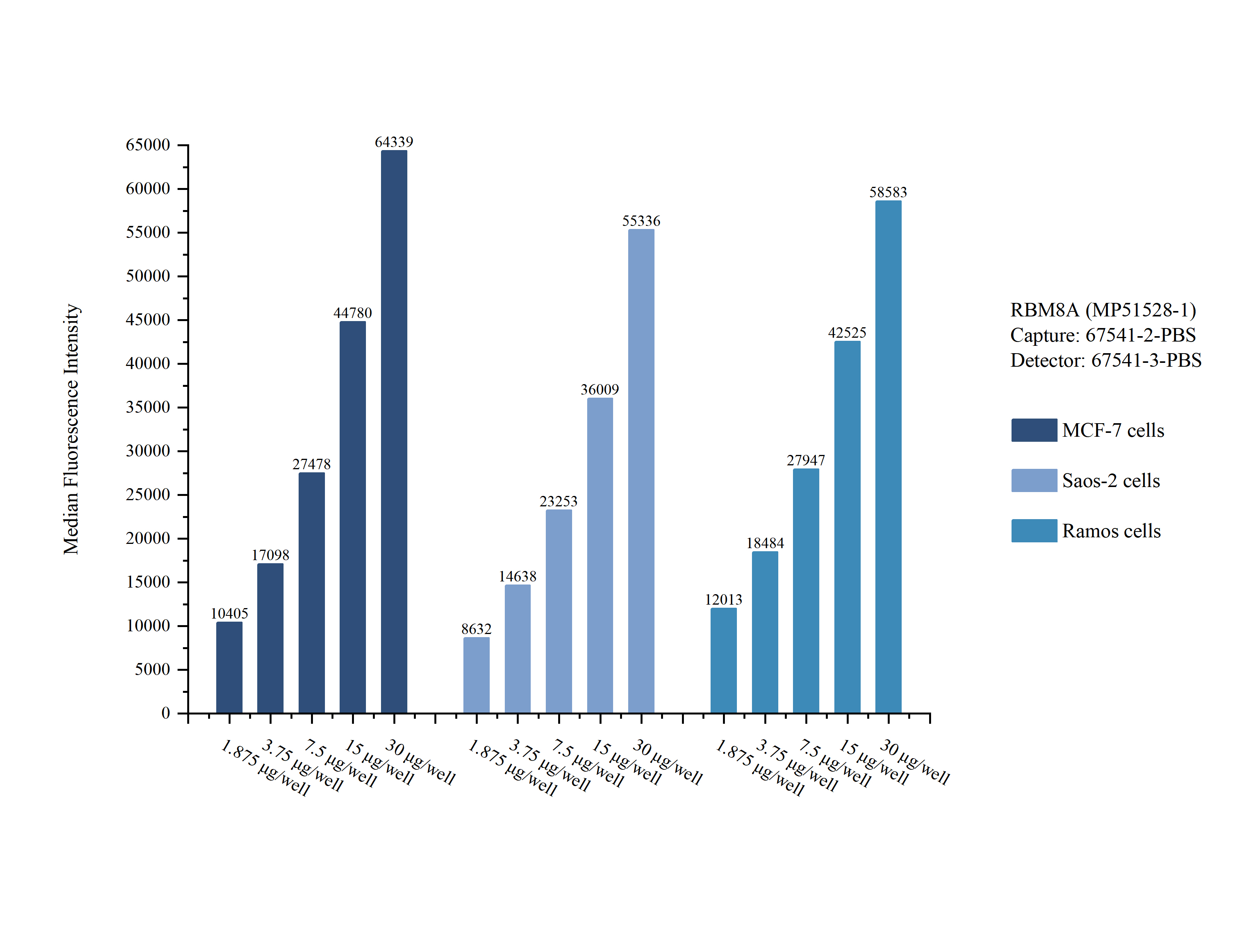 Cytometric bead array sample test of <a class='green' href='/productredirect?CatalogNo=MP51528-1' target='_blank'>MP51528-1</a>, RBM8A Monoclonal Matched Antibody Pair, PBS Only. Capture antibody: <a class='green' href='/productredirect?CatalogNo=67541-2-PBS' target='_blank'>67541-2-PBS</a>. Detection antibody: 67541-3-PBS. Cytometric bead array sample test of MP51528-1