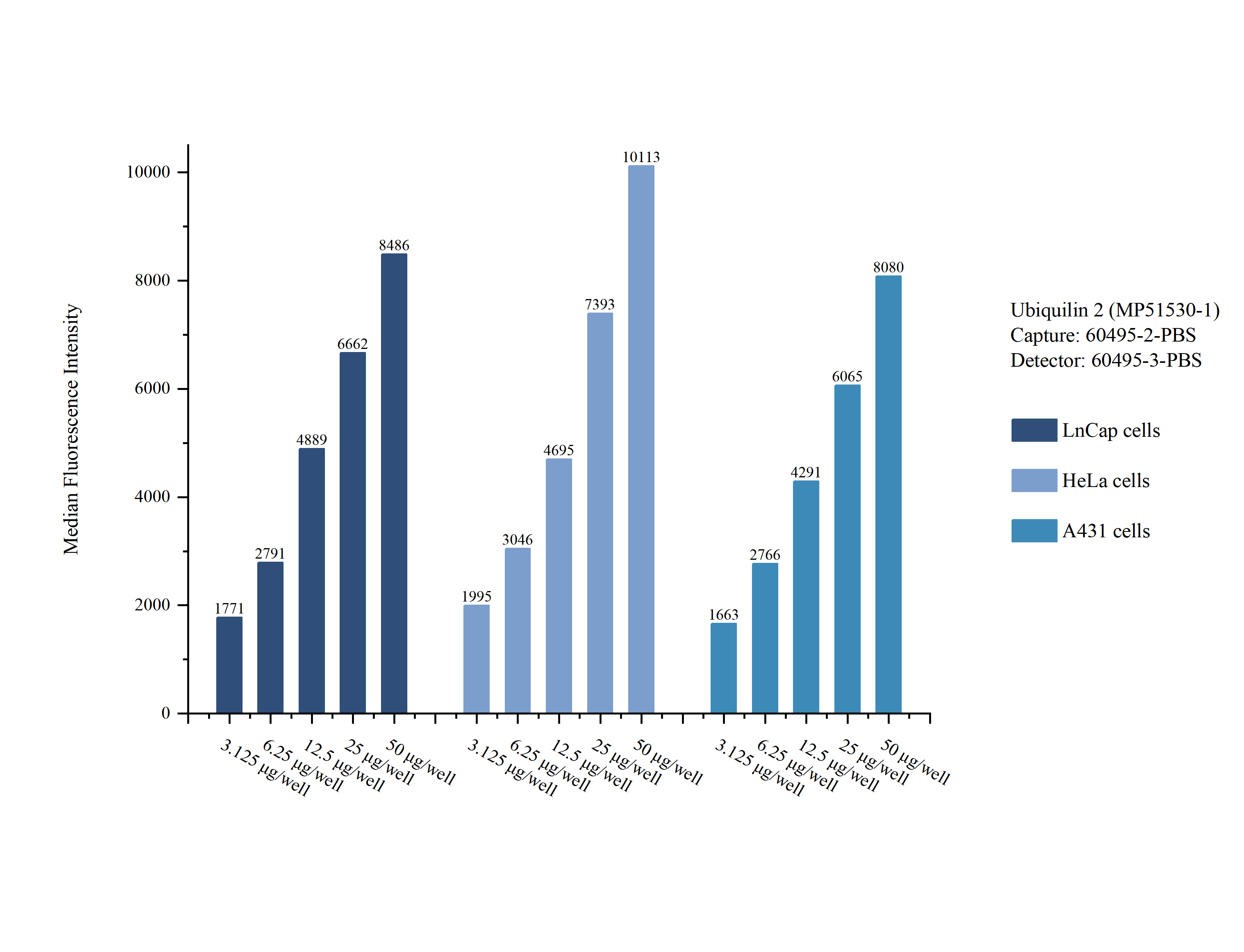 Cytometric bead array sample test of MP51530-1