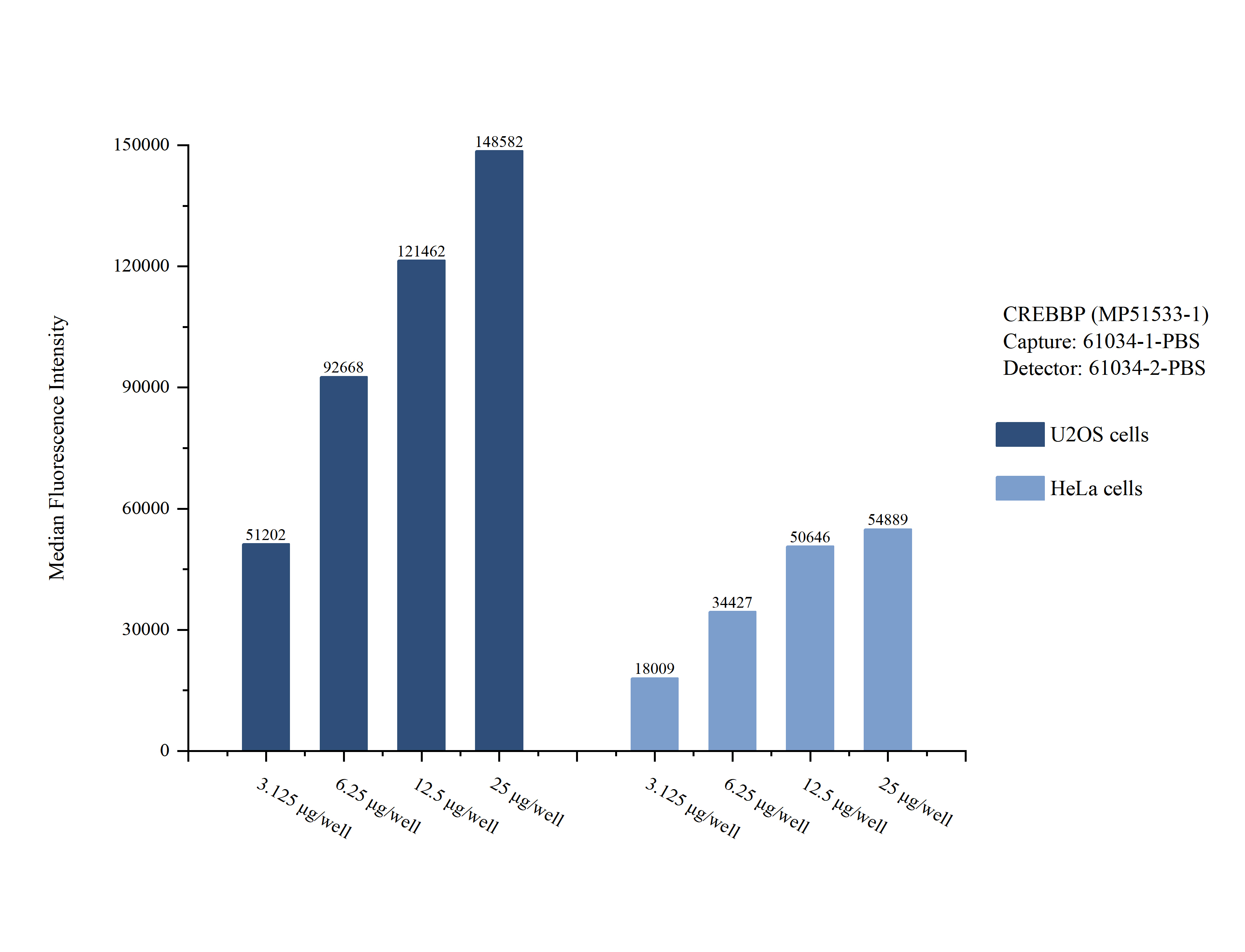Cytometric bead array sample test of MP51533-1, CREBBP Monoclonal Matched Antibody Pair, PBS Only. Capture antibody: 61034-1-PBS. Detection antibody: 61034-2-PBS. Cytometric bead array sample test of MP51533-1, CREBBP Monoclonal Matched Antibody Pair, PBS Only. Capture antibody: 61034-1-PBS. Detection antibody: 61034-2-PBS.