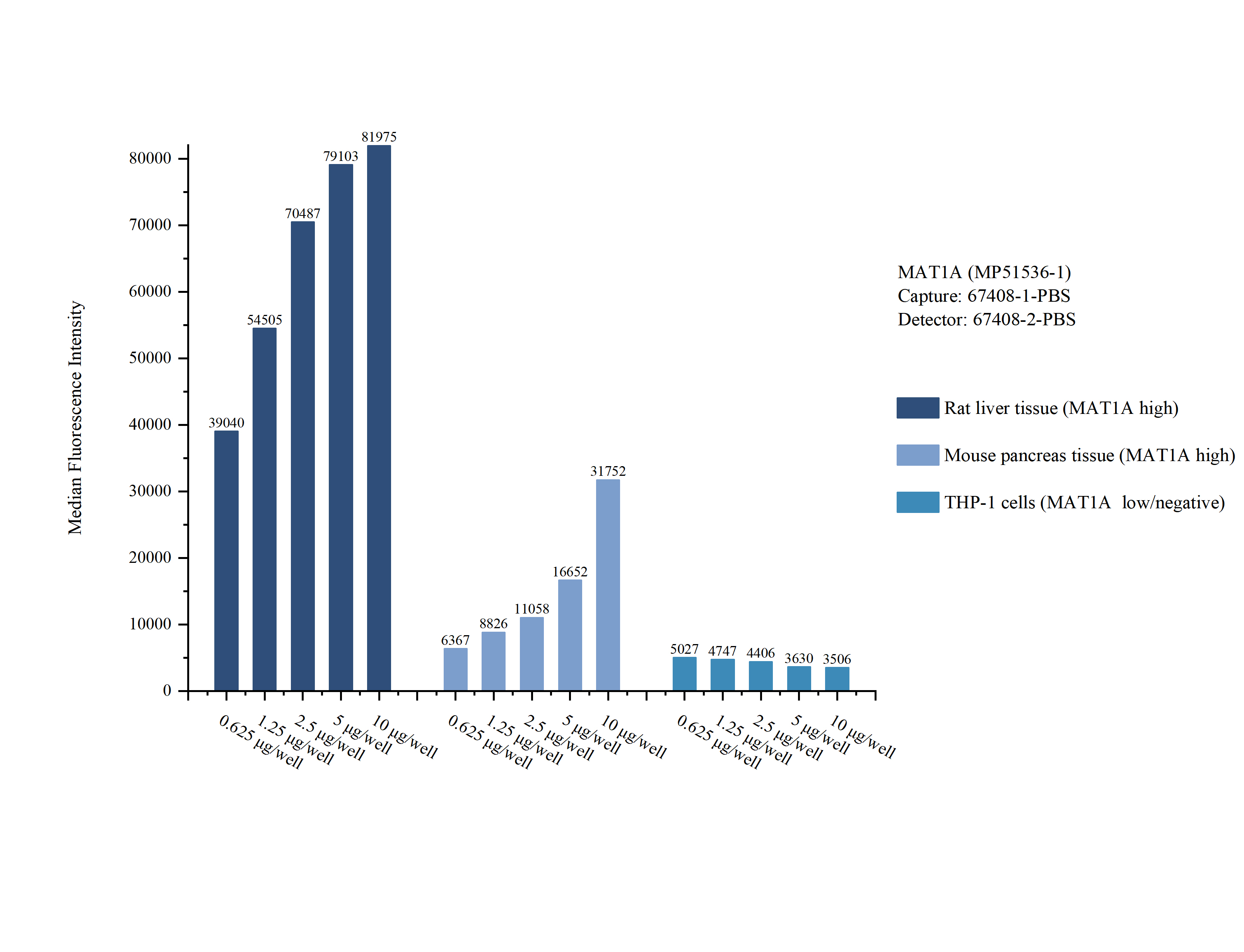 Cytometric bead array sample test of <a class='green' href='/productredirect?CatalogNo=MP51536-1' target='_blank'>MP51536-1</a>, MAT1A Monoclonal Matched Antibody Pair, PBS Only. Capture antibody: 67408-1-PBS. Detection antibody: <a class='green' href='/productredirect?CatalogNo=67408-2-PBS' target='_blank'>67408-2-PBS</a>. Cytometric bead array sample test of MP51536-1