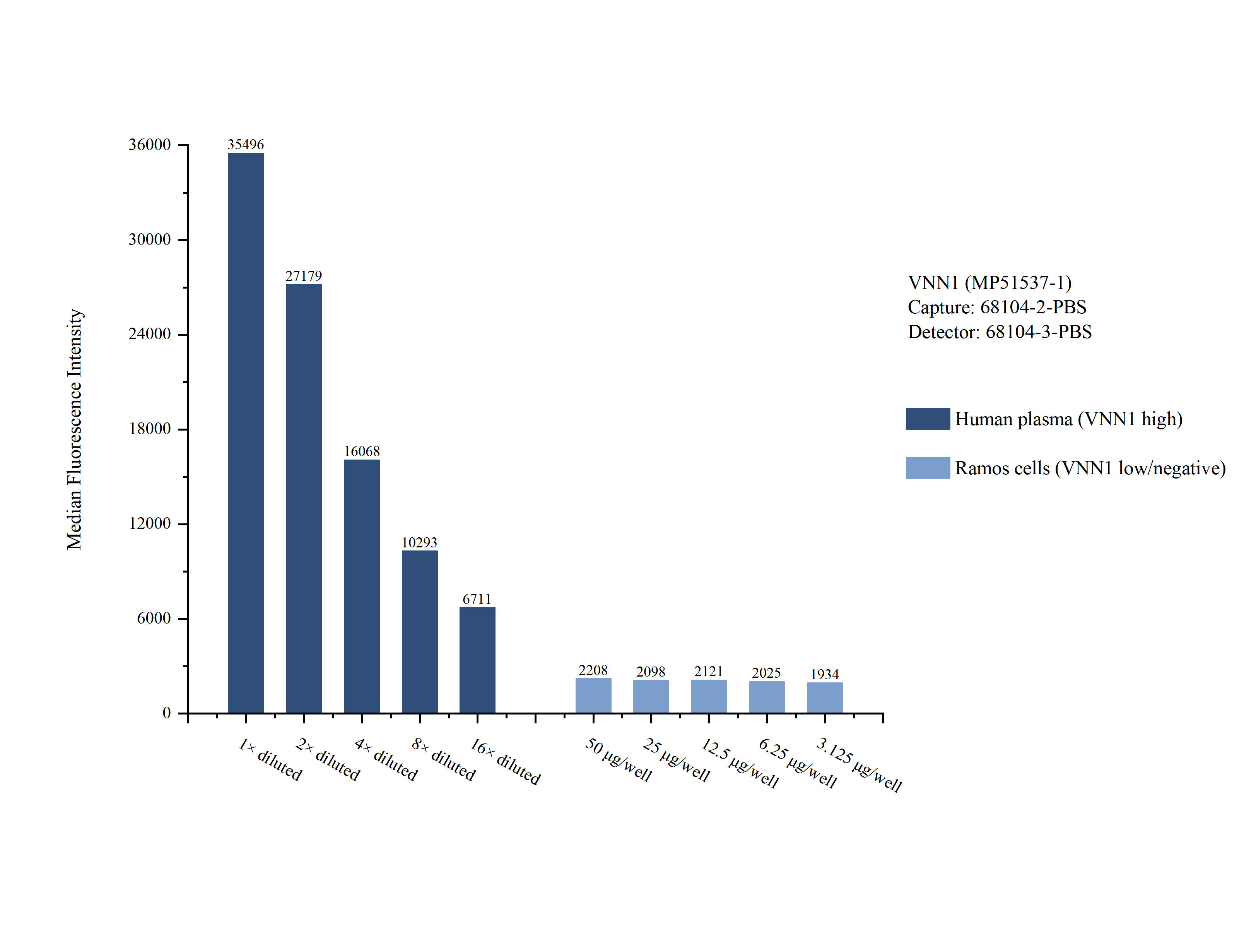 Cytometric bead array sample test of MP51537-1