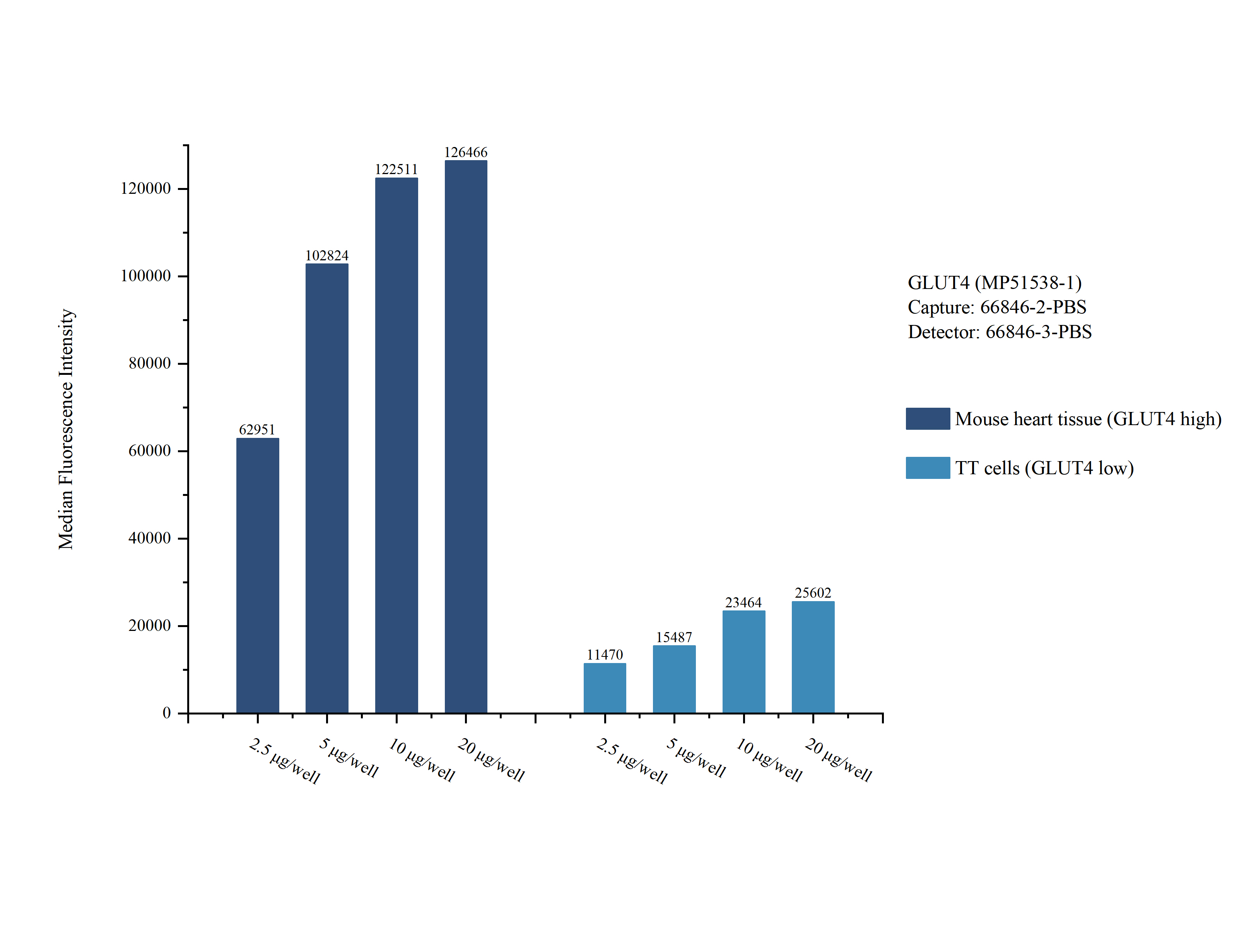 Cytometric bead array sample test of MP51538-1, GLUT4 Monoclonal Matched Antibody Pair, PBS Only. Capture antibody: 66846-2-PBS. Detection antibody: 66846-3-PBS. Cytometric bead array sample test of MP51538-1, GLUT4 Monoclonal Matched Antibody Pair, PBS Only. Capture antibody: 66846-2-PBS. Detection antibody: 66846-3-PBS.