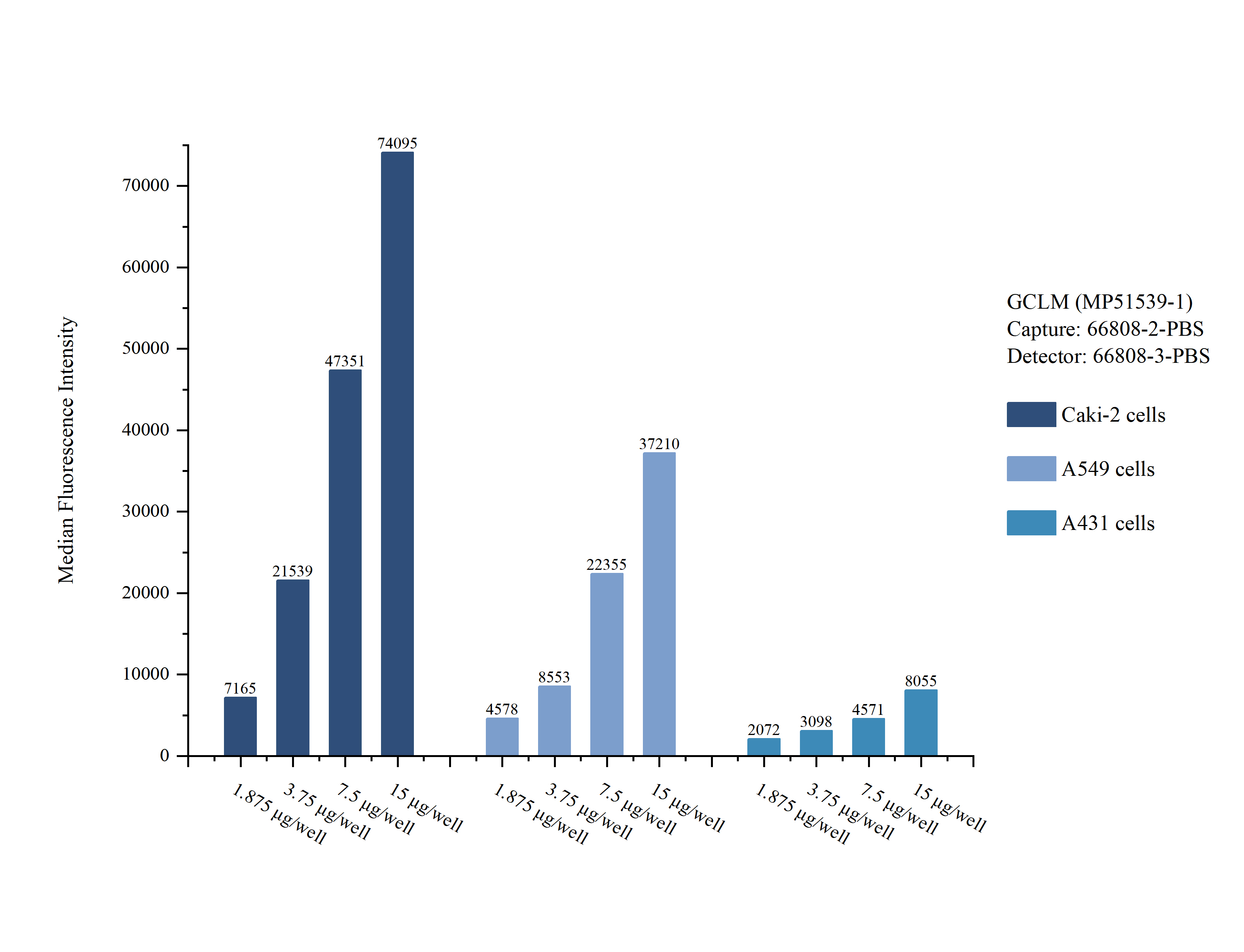 Cytometric bead array sample test of MP51539-1