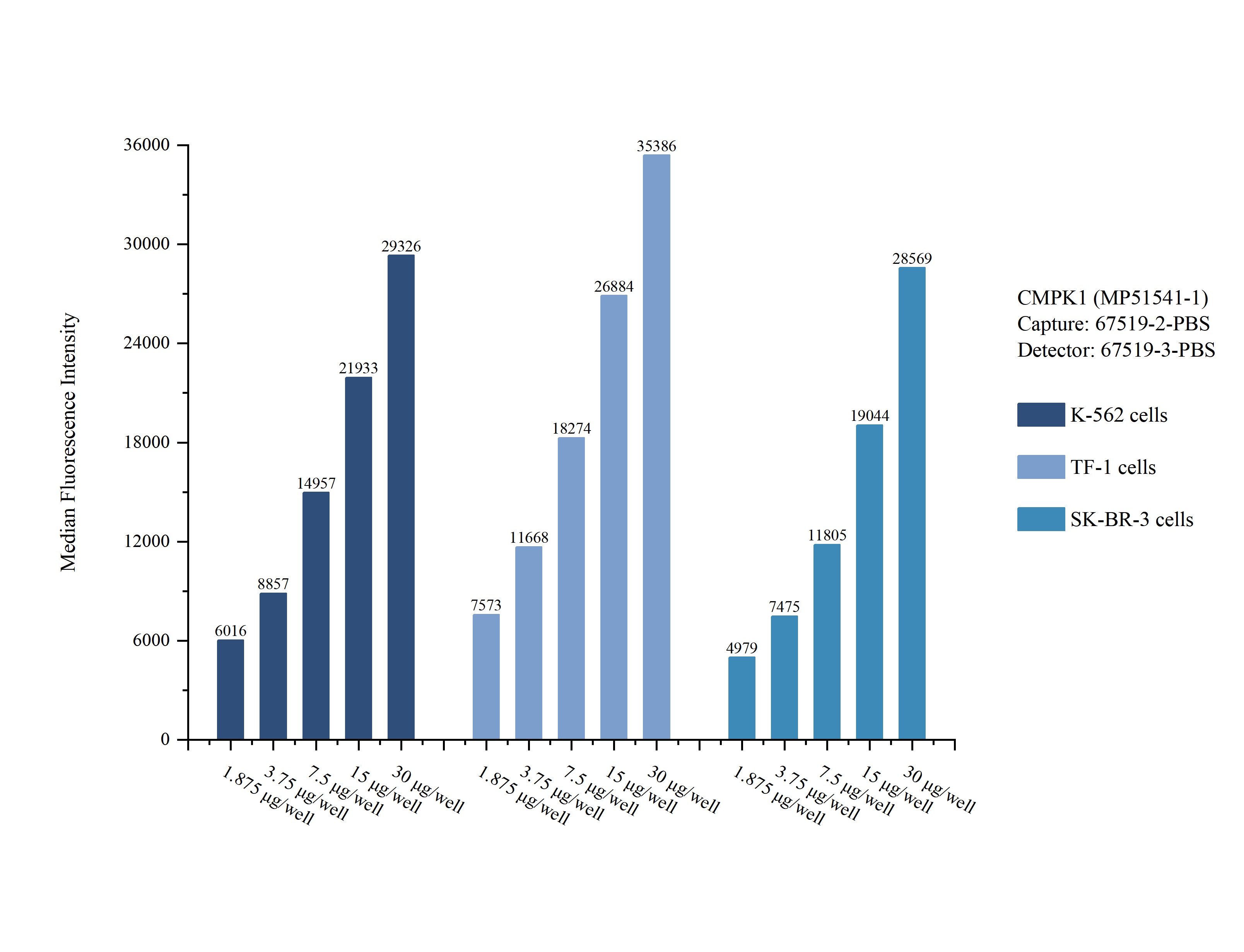 Cytometric bead array sample test of MP51541-1, CMPK1 Monoclonal Matched Antibody Pair, PBS Only. Capture antibody: 67519-2-PBS. Detection antibody: 67519-3-PBS. 