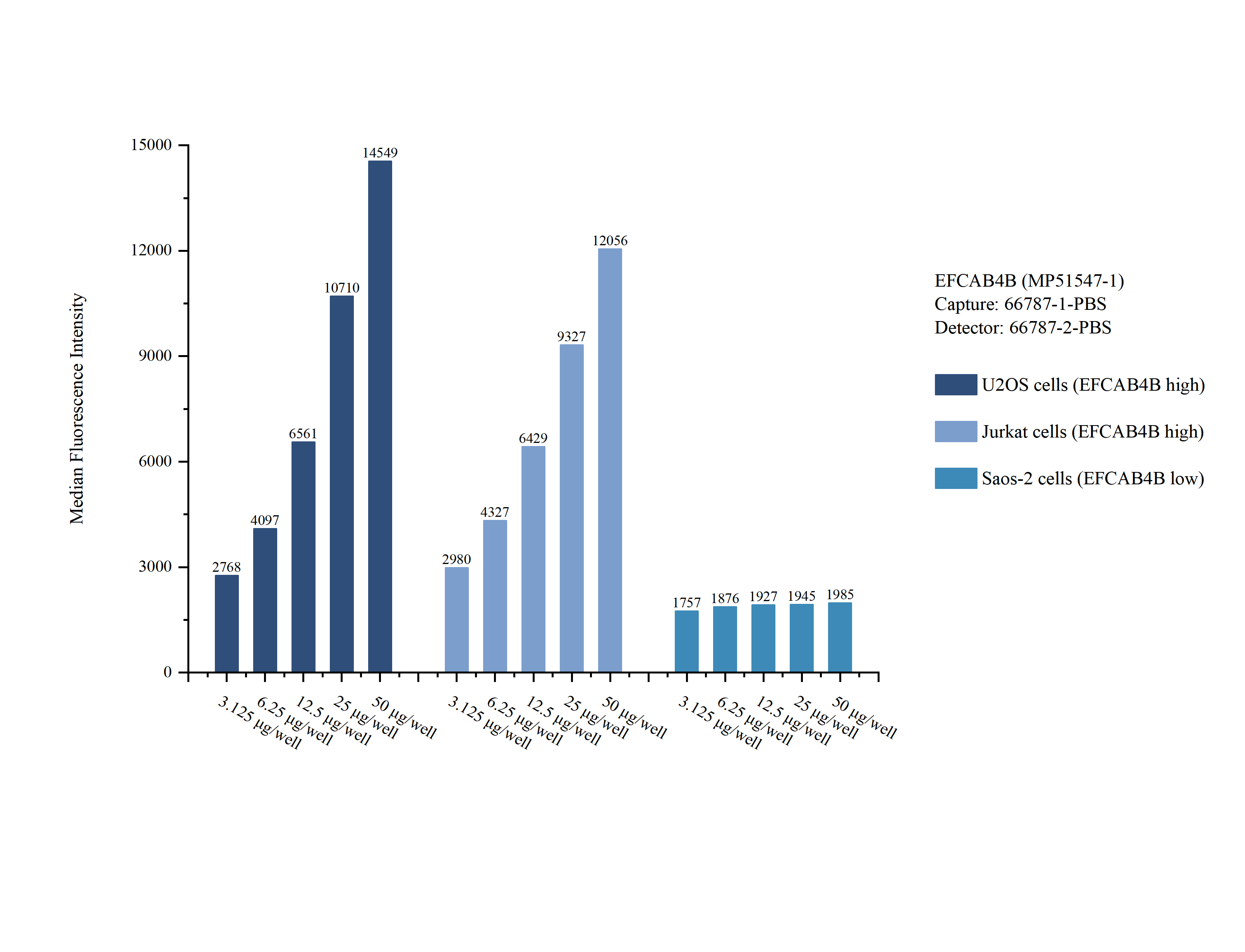 Cytometric bead array sample test of <a class='green' href='/productredirect?CatalogNo=MP51547-1' target='_blank'>MP51547-1</a>, EFCAB4B Monoclonal Matched Antibody Pair, PBS Only. Capture antibody: 66787-1-PBS. Detection antibody: <a class='green' href='/productredirect?CatalogNo=66787-2-PBS' target='_blank'>66787-2-PBS</a>. Cytometric bead array sample test of MP51547-1
