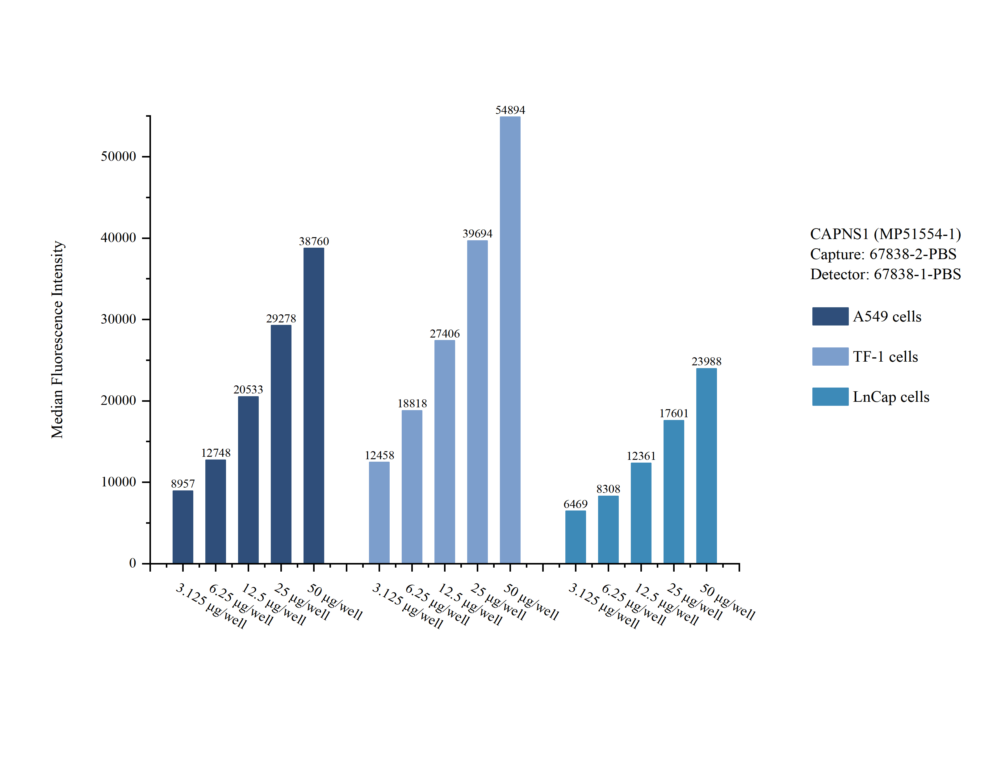 Cytometric bead array sample test of <a class='green' href='/productredirect?CatalogNo=MP51554-1' target='_blank'>MP51554-1</a>, CAPNS1 Monoclonal Matched Antibody Pair, PBS Only. Capture antibody: <a class='green' href='/productredirect?CatalogNo=67838-2-PBS' target='_blank'>67838-2-PBS</a>. Detection antibody: 67838-1-PBS. Cytometric bead array sample test of MP51554-1