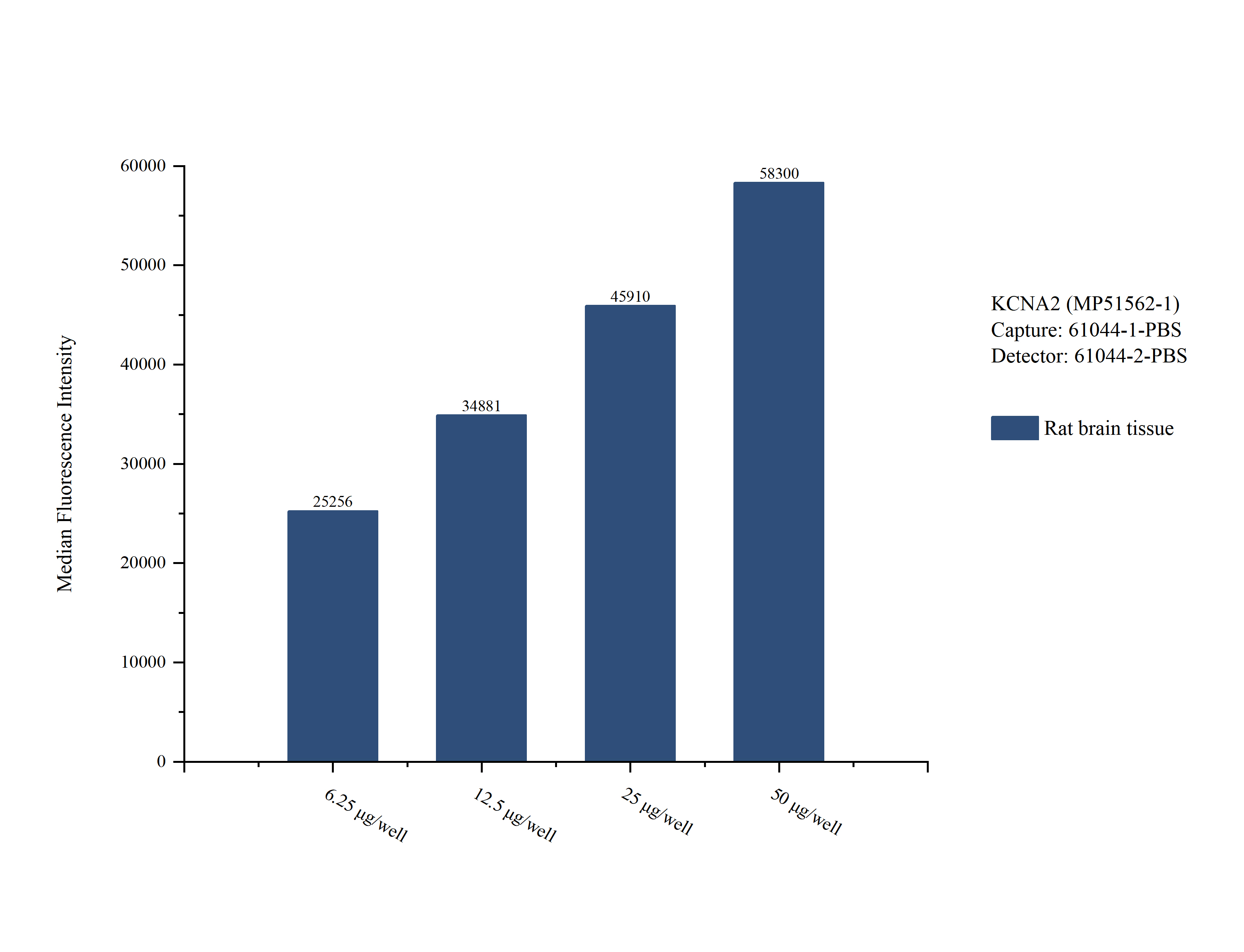 Cytometric bead array sample test of MP51562-1