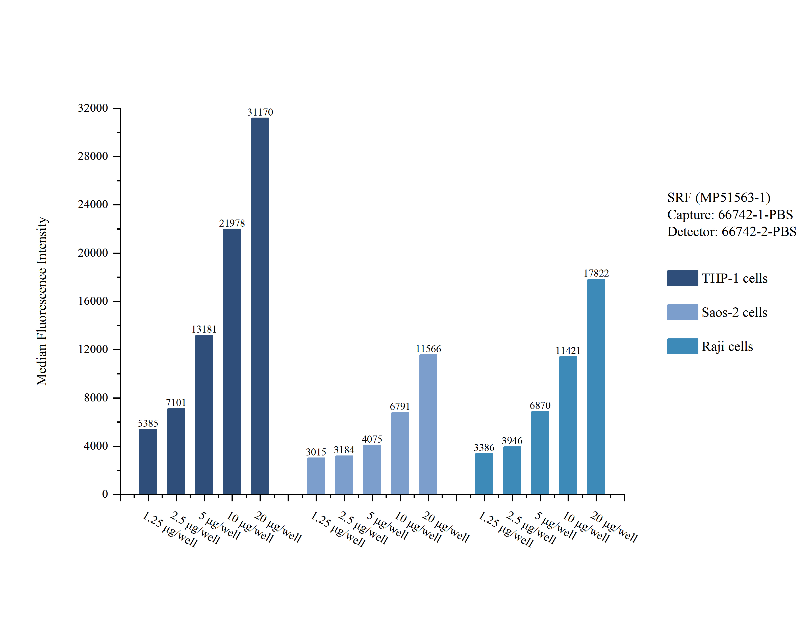 Cytometric bead array sample test of <a class='green' href='/productredirect?CatalogNo=MP51563-1' target='_blank'>MP51563-1</a>, SRF Monoclonal Matched Antibody Pair, PBS Only. Capture antibody: 66742-1-PBS. Detection antibody: <a class='green' href='/productredirect?CatalogNo=66742-2-PBS' target='_blank'>66742-2-PBS</a>. Cytometric bead array sample test of MP51563-1