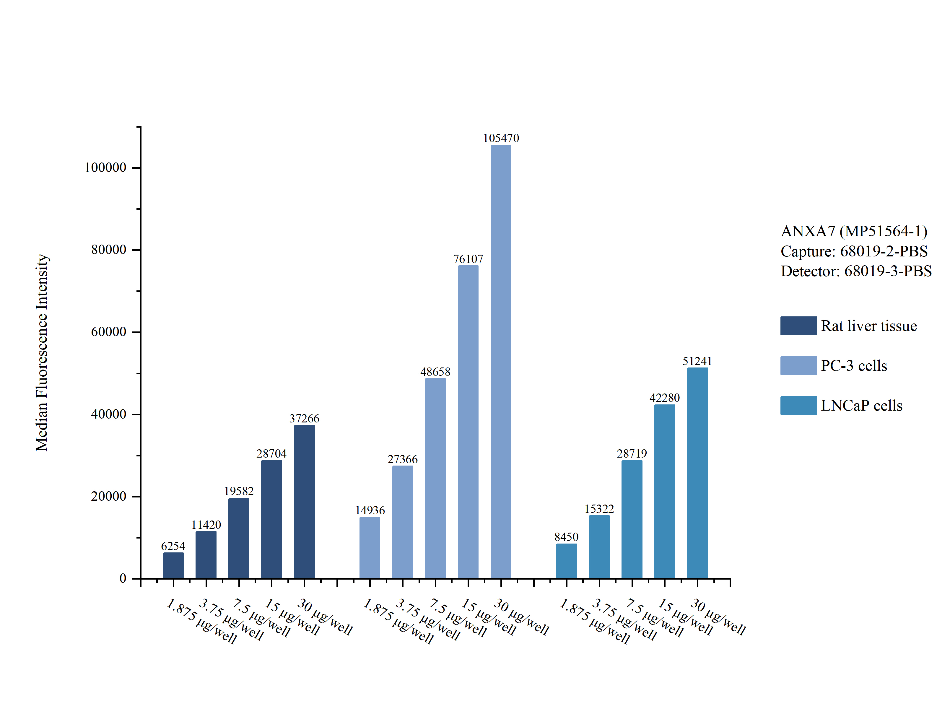 Cytometric bead array sample test of MP51564-1