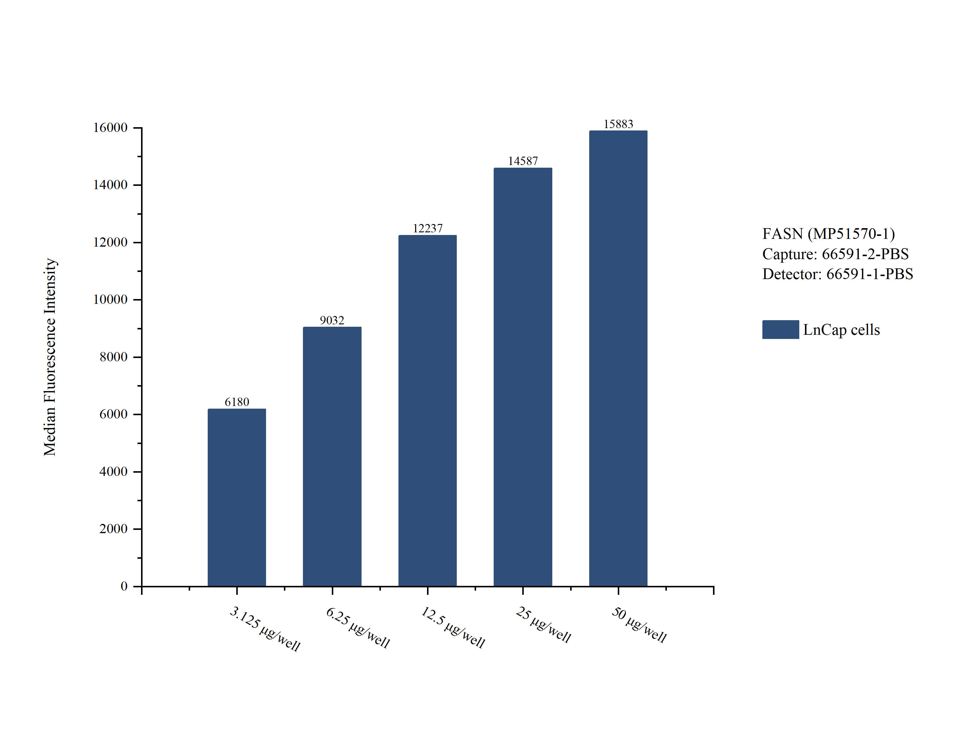 Cytometric bead array sample test of MP51570-1