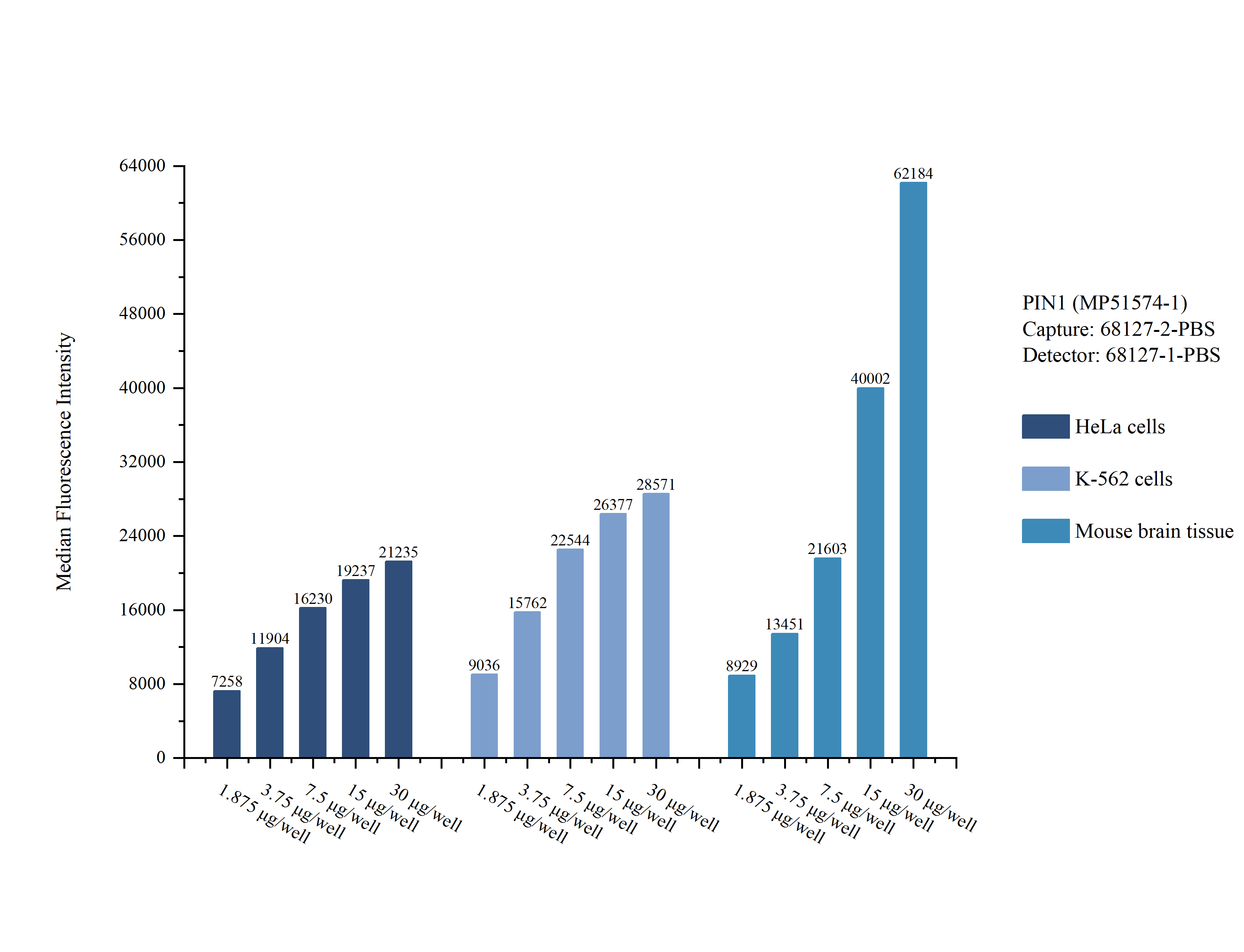 Cytometric bead array sample test of MP51574-1