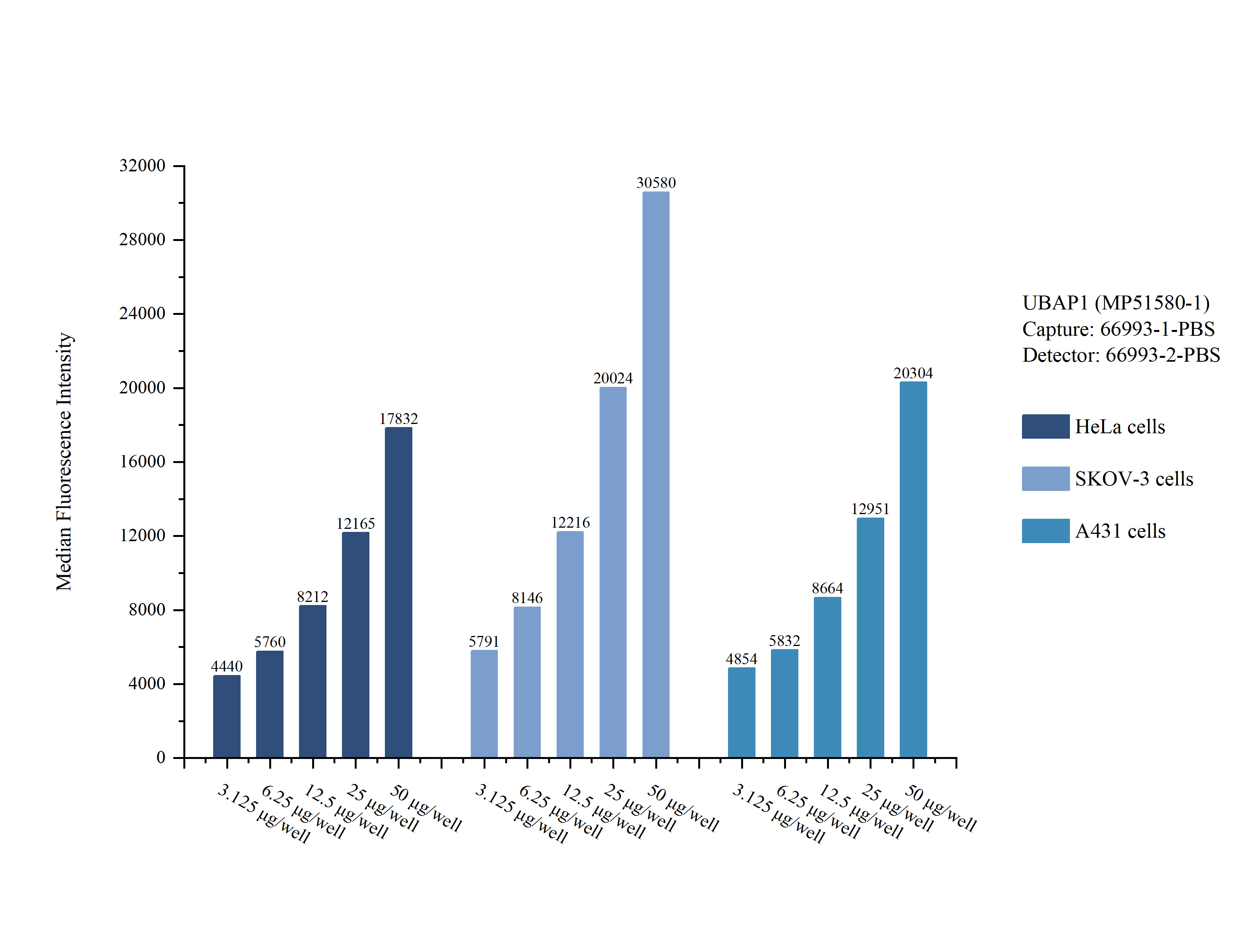 Cytometric bead array sample test of MP51580-1