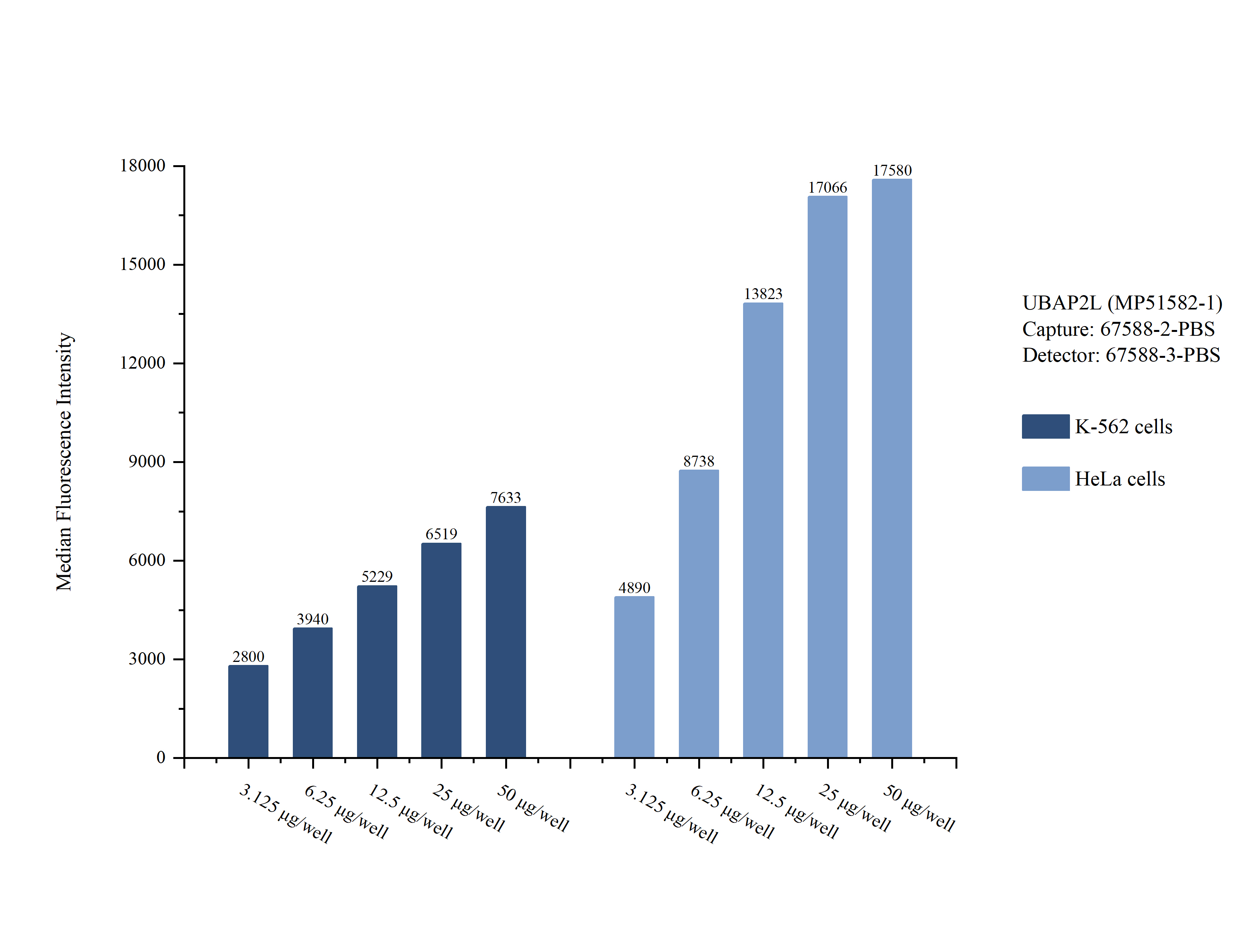 Cytometric bead array sample test of MP51582-1, UBAP2L Monoclonal Matched Antibody Pair, PBS Only. Capture antibody: 67588-2-PBS. Detection antibody: 67588-3-PBS. 