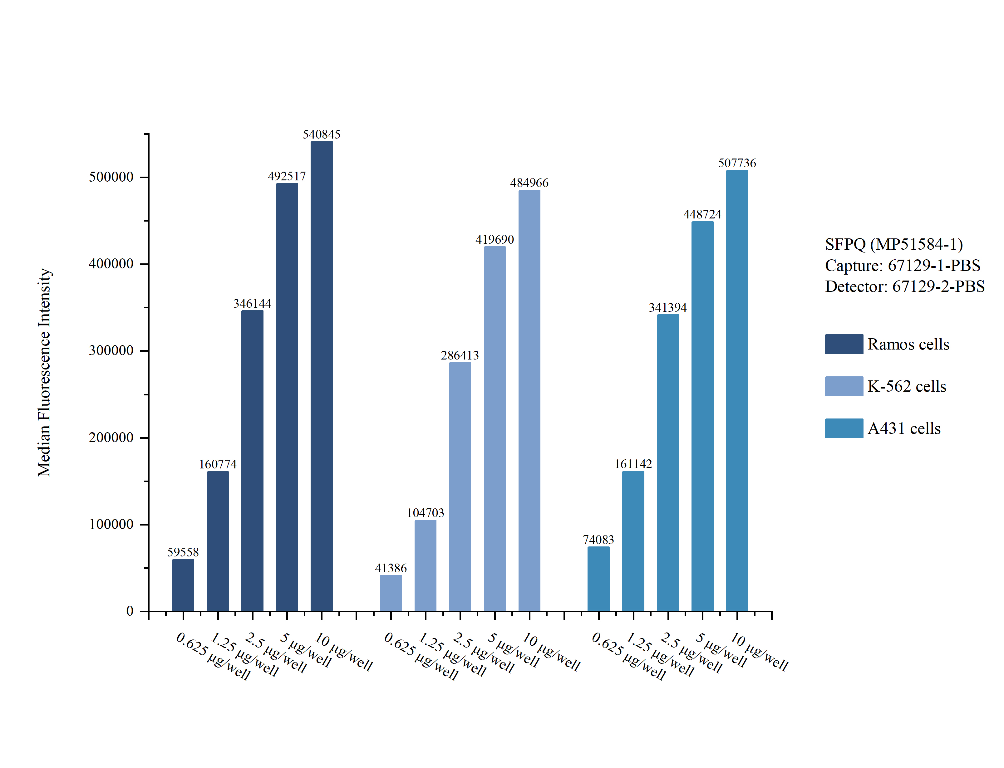 Cytometric bead array sample test of MP51584-1