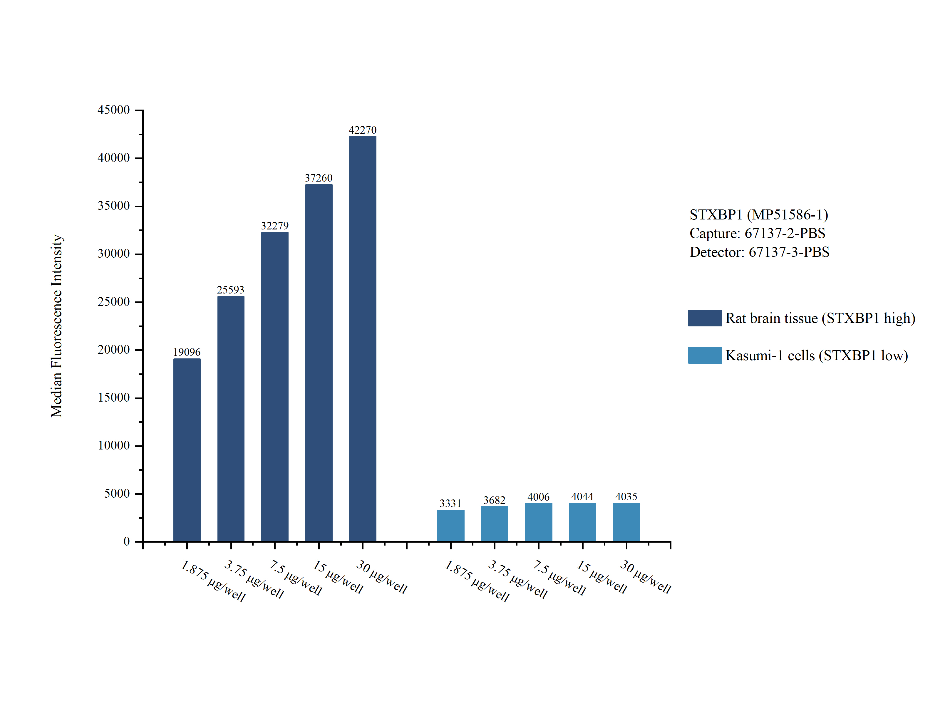 Cytometric bead array sample test of <a class='green' href='/productredirect?CatalogNo=MP51586-1' target='_blank'>MP51586-1</a>, STXBP1 Monoclonal Matched Antibody Pair, PBS Only. Capture antibody: <a class='green' href='/productredirect?CatalogNo=67137-2-PBS' target='_blank'>67137-2-PBS</a>. Detection antibody: 67137-3-PBS. Cytometric bead array sample test of MP51586-1