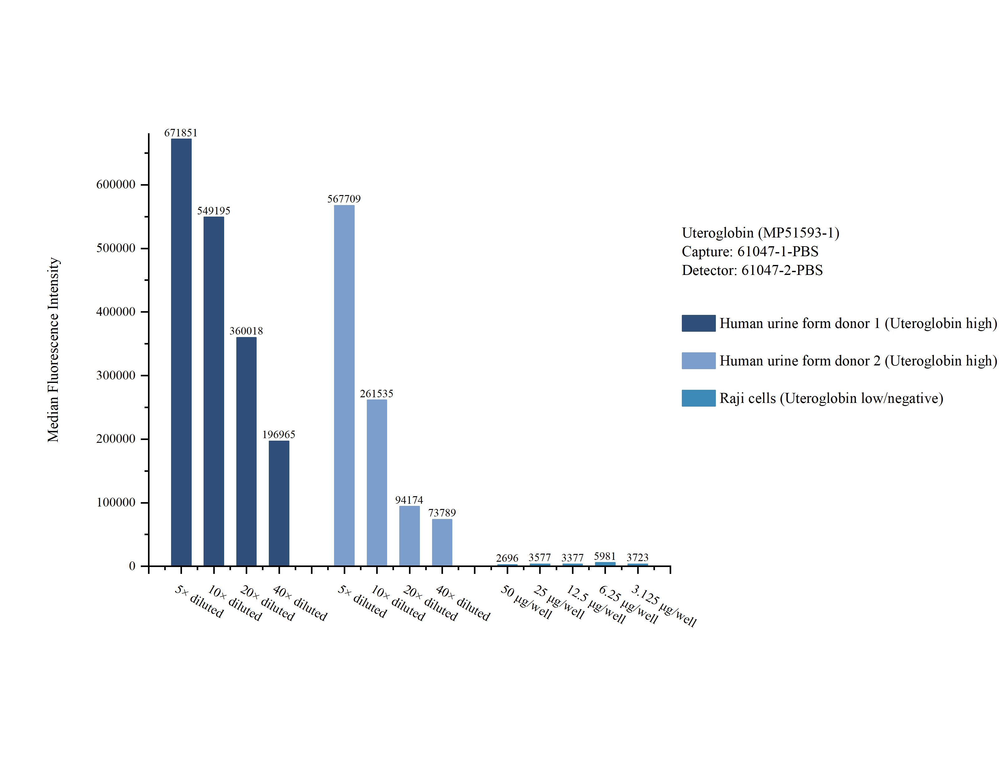 Cytometric bead array sample test of MP51593-1, Uteroglobin Monoclonal Matched Antibody Pair, PBS Only. Capture antibody: 61047-1-PBS. Detection antibody: 61047-2-PBS. Cytometric bead array sample test of MP51593-1, Uteroglobin Monoclonal Matched Antibody Pair, PBS Only. Capture antibody: 61047-1-PBS. Detection antibody: 61047-2-PBS.